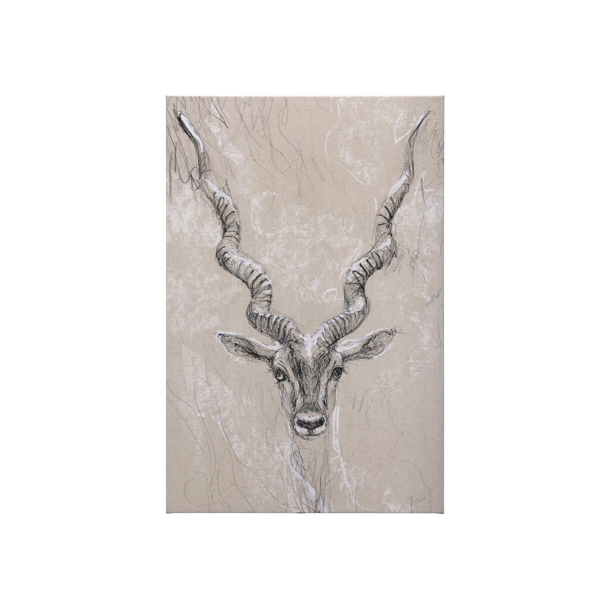 Sketch of animal III (Antelope) by Mercana Studio a Hand Embellished Textured Canvas by Mercana at Eve Furniture