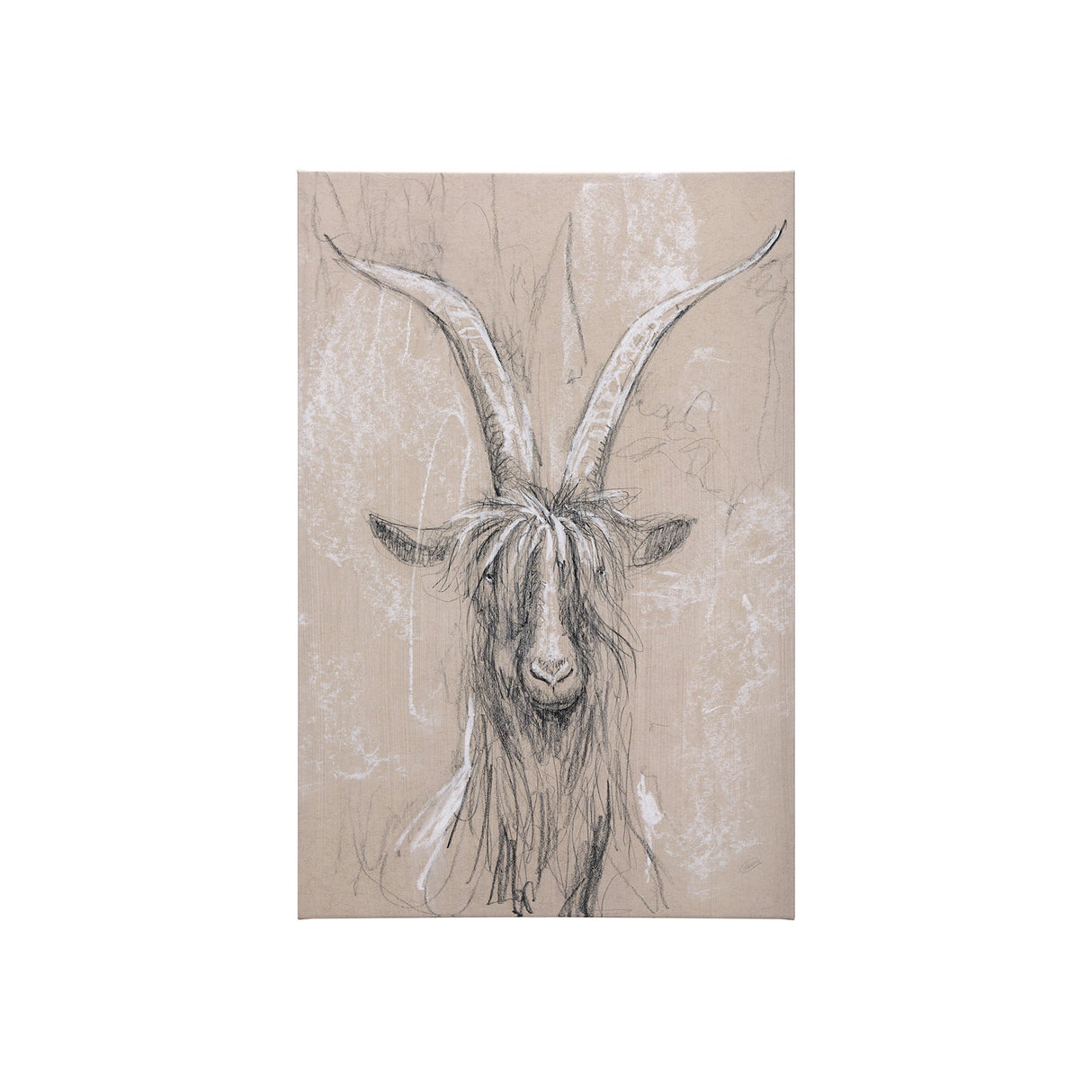 Sketch of animal V (Goat) by Mercana Studio a Hand Embellished Textured Canvas by Mercana at Eve Furniture