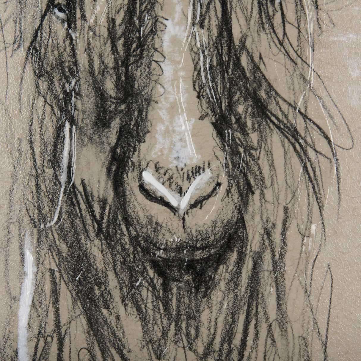 Sketch of Animal V (Goat) by Mercana Studio Hand Embellished Framed Art Print Matted under Glass by Mercana at Eve Furniture