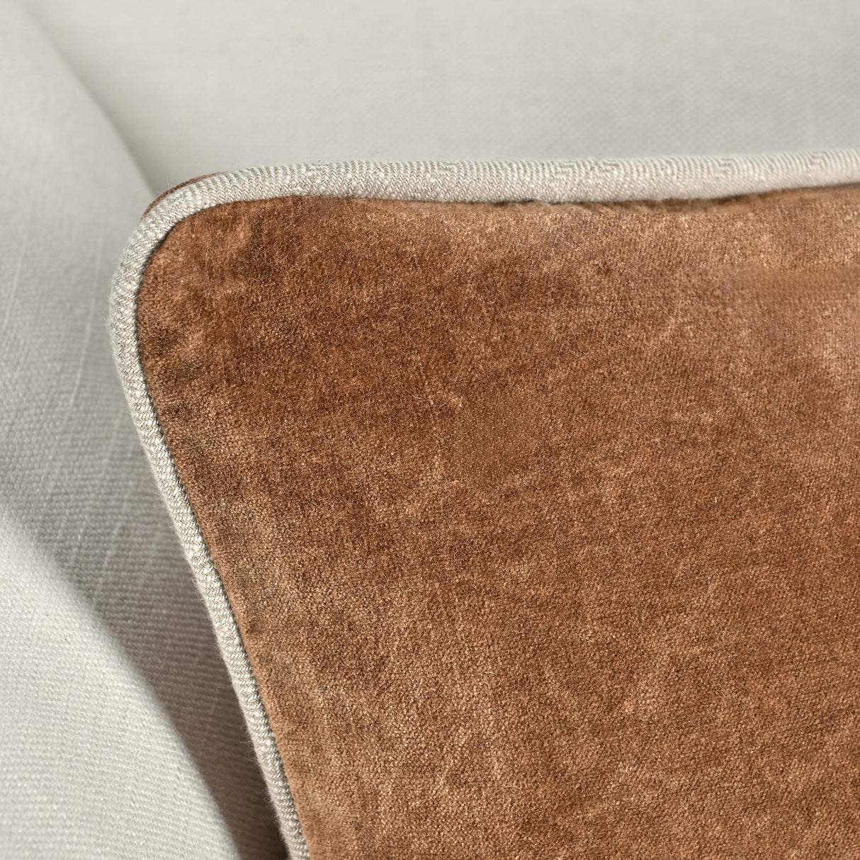 SLD Heirloom Hazel Velvet Multiple Sizes Throw Pillow (Set of 2) by Classic Home at Eve Furniture