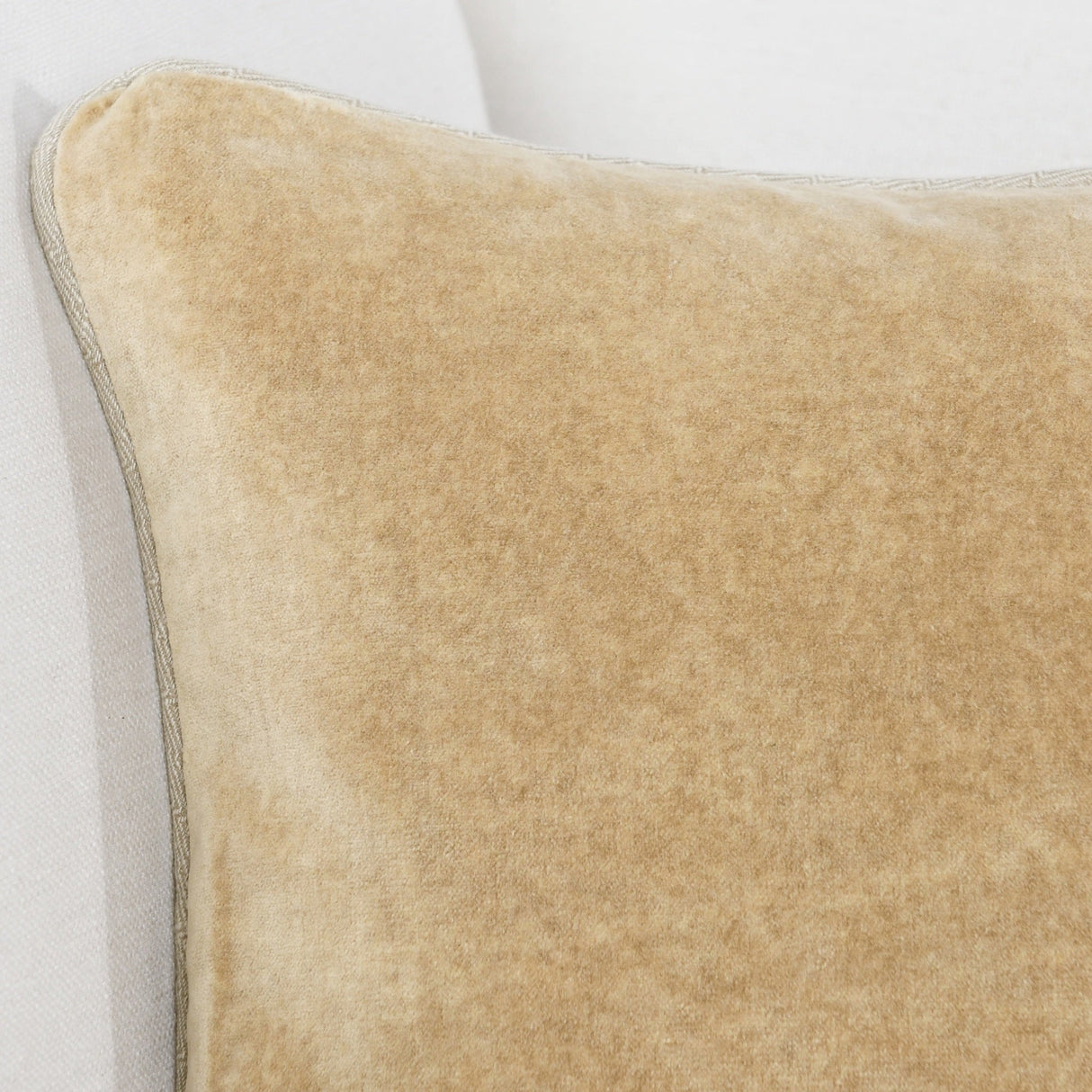 SLD Heirloom Wheat Velvet Multiple Sizes Throw Pillow (Set of 2) by Classic Home at Eve Furniture