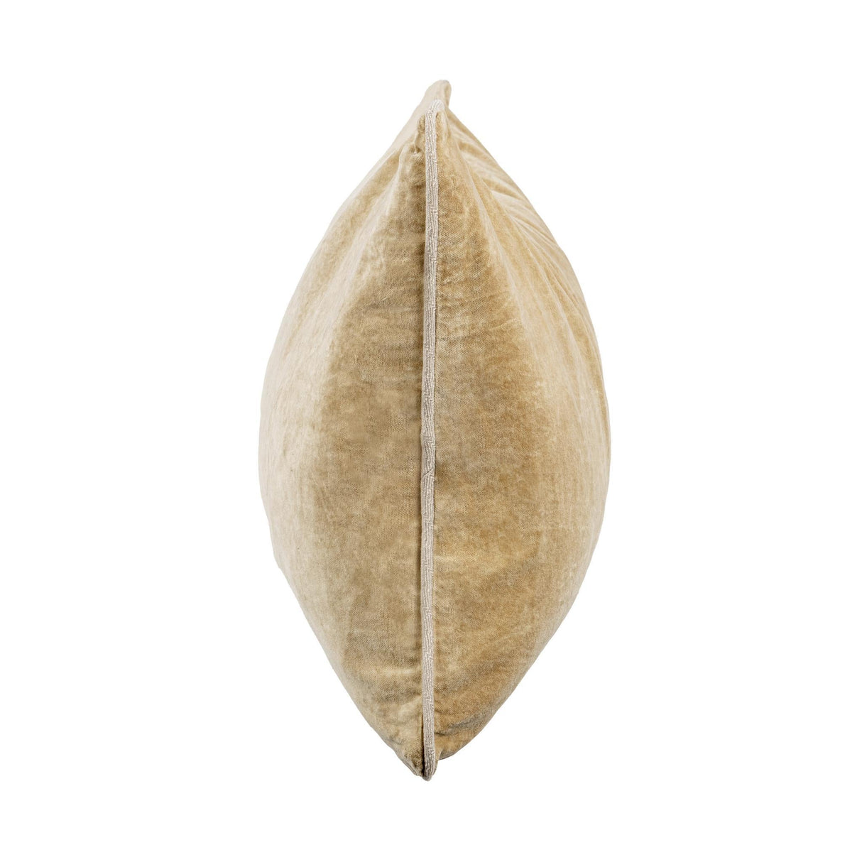 SLD Heirloom Wheat Velvet Multiple Sizes Throw Pillow (Set of 2) by Classic Home at Eve Furniture