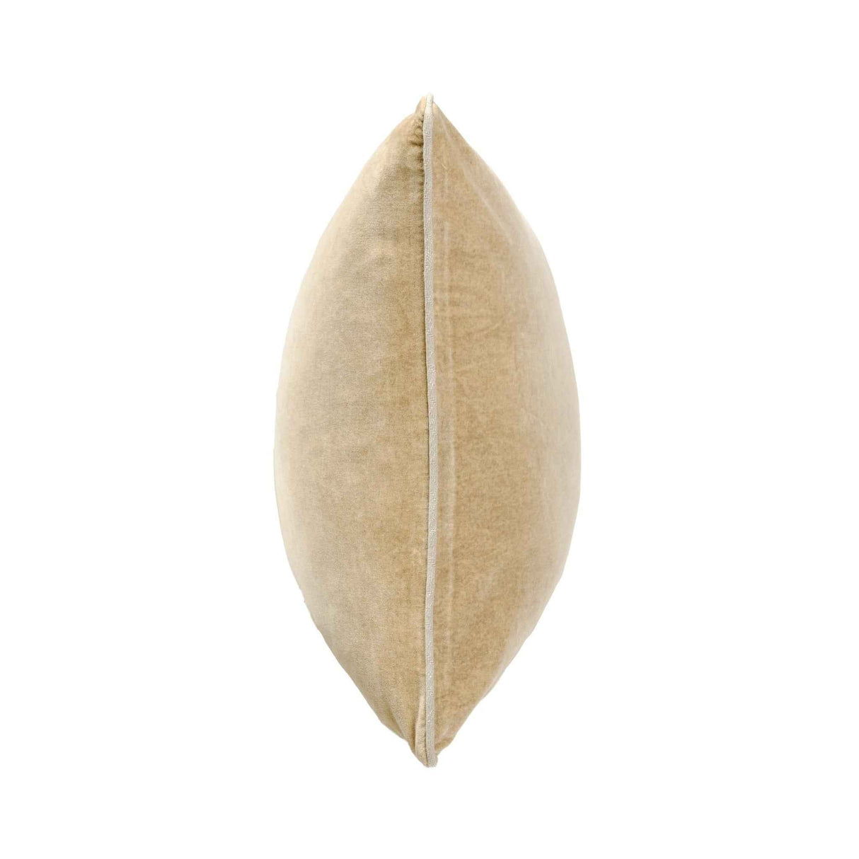 SLD Heirloom Wheat Velvet Multiple Sizes Throw Pillow (Set of 2) by Classic Home at Eve Furniture