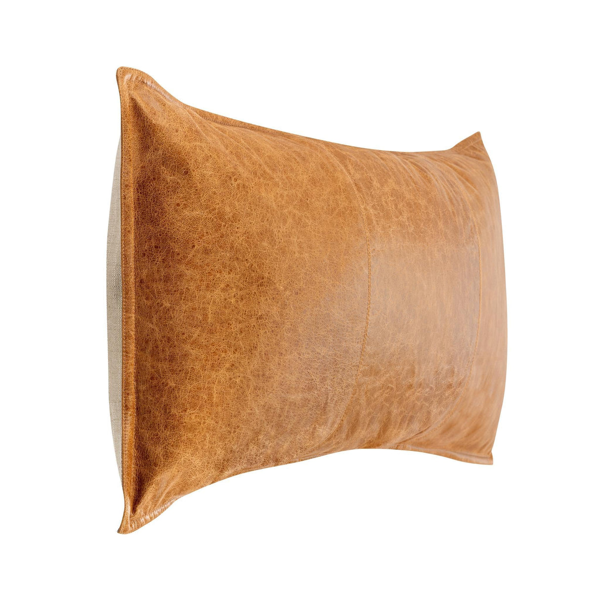 SLD Leather Dumont Chestnut Multiple Sizes Throw Pillow (Set of 2) by Classic Home at Eve Furniture