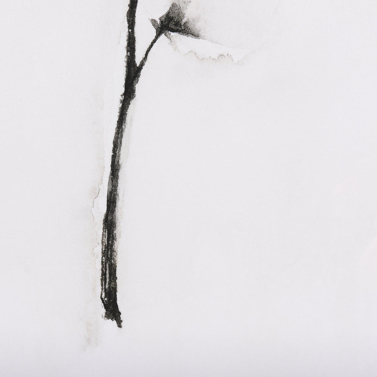 Snow Greetings II by Panpan a Framed Art Print Matted under Glass by Mercana at Eve Furniture