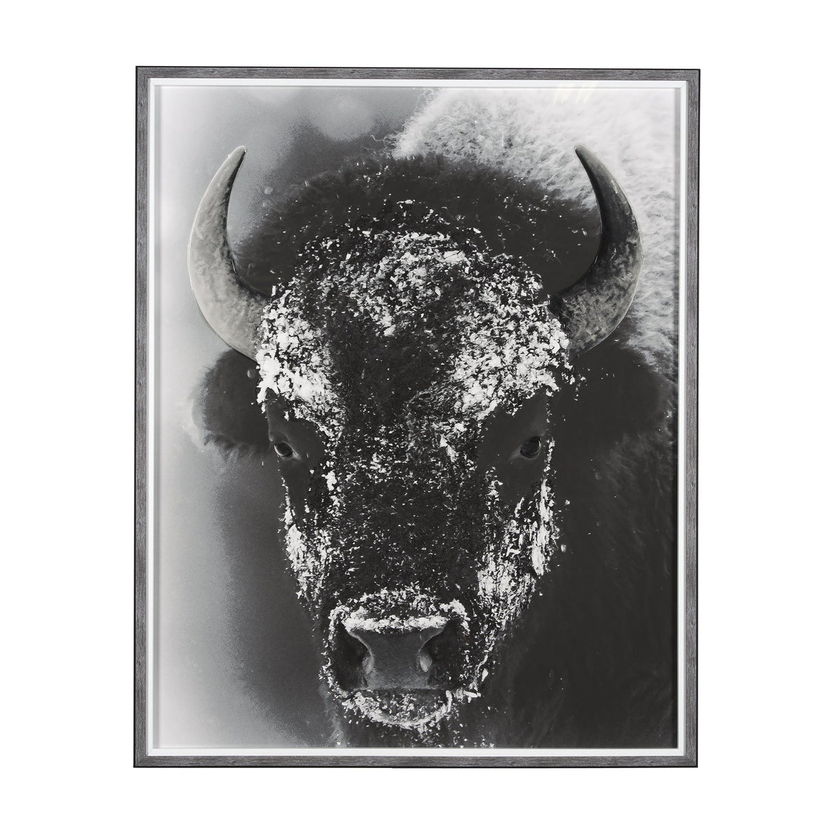 Snow Mask by Mercana Studio a Hand Embellished Textured Framed Photo Art Print Matted under Glass by Mercana at Eve Furniture