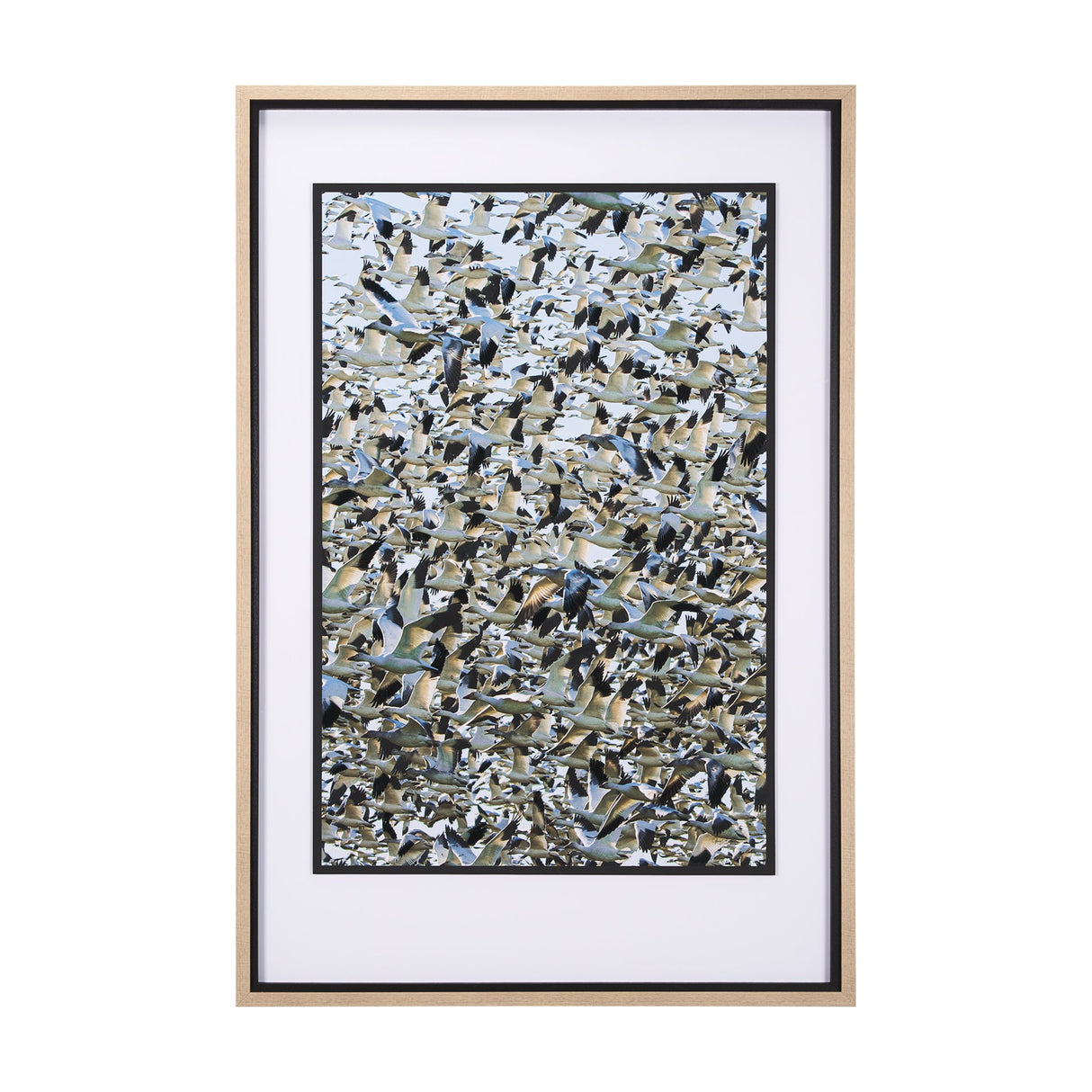 Snowgoose Migration 1 by Gary Blatter Hand Embellished Textured Framed Art Print Matted under Glass by Mercana at Eve Furniture