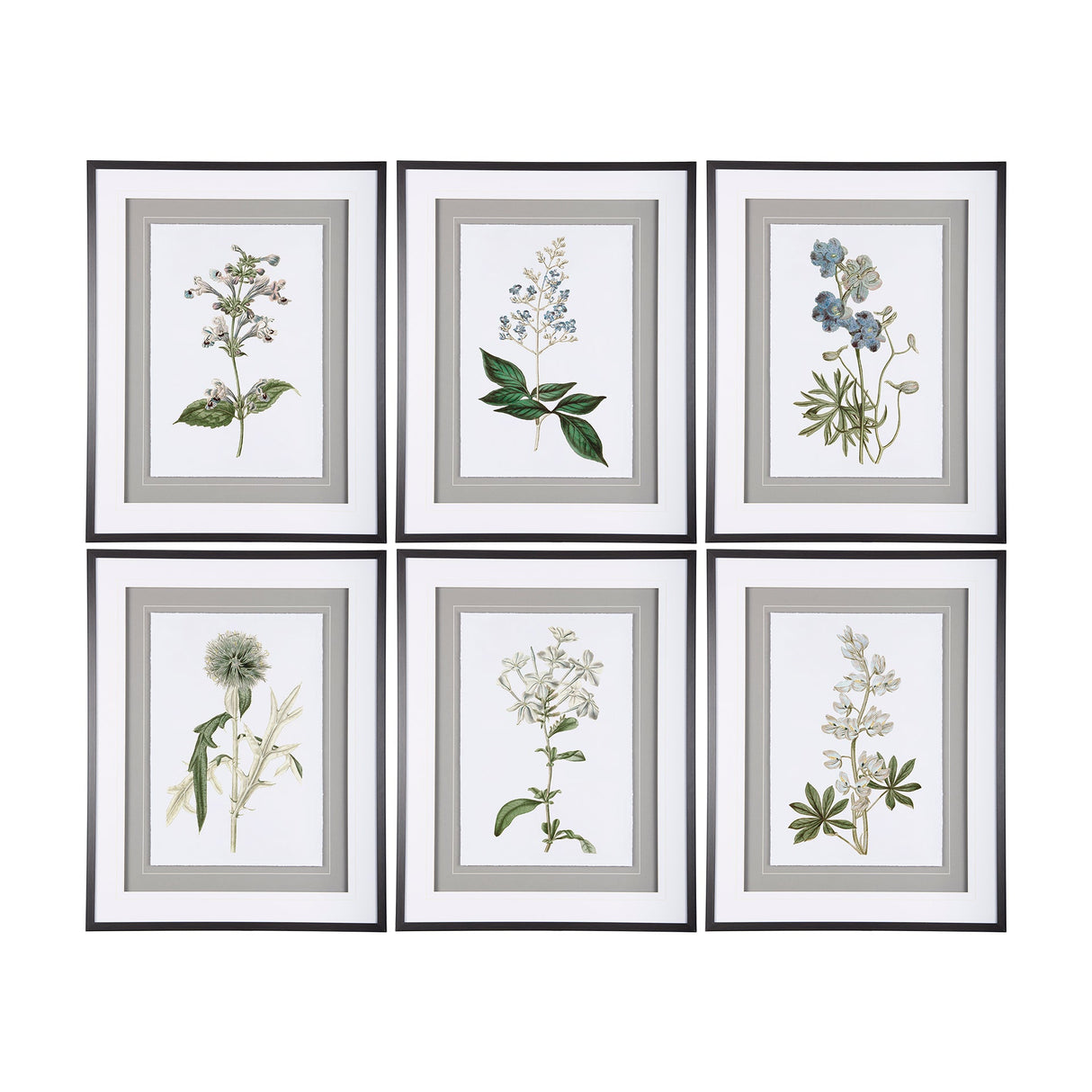 Soft Blue Botanoicals III by Mercana Studio Hand Embellished Framed Art Print Matted under Glass by Mercana at Eve Furniture