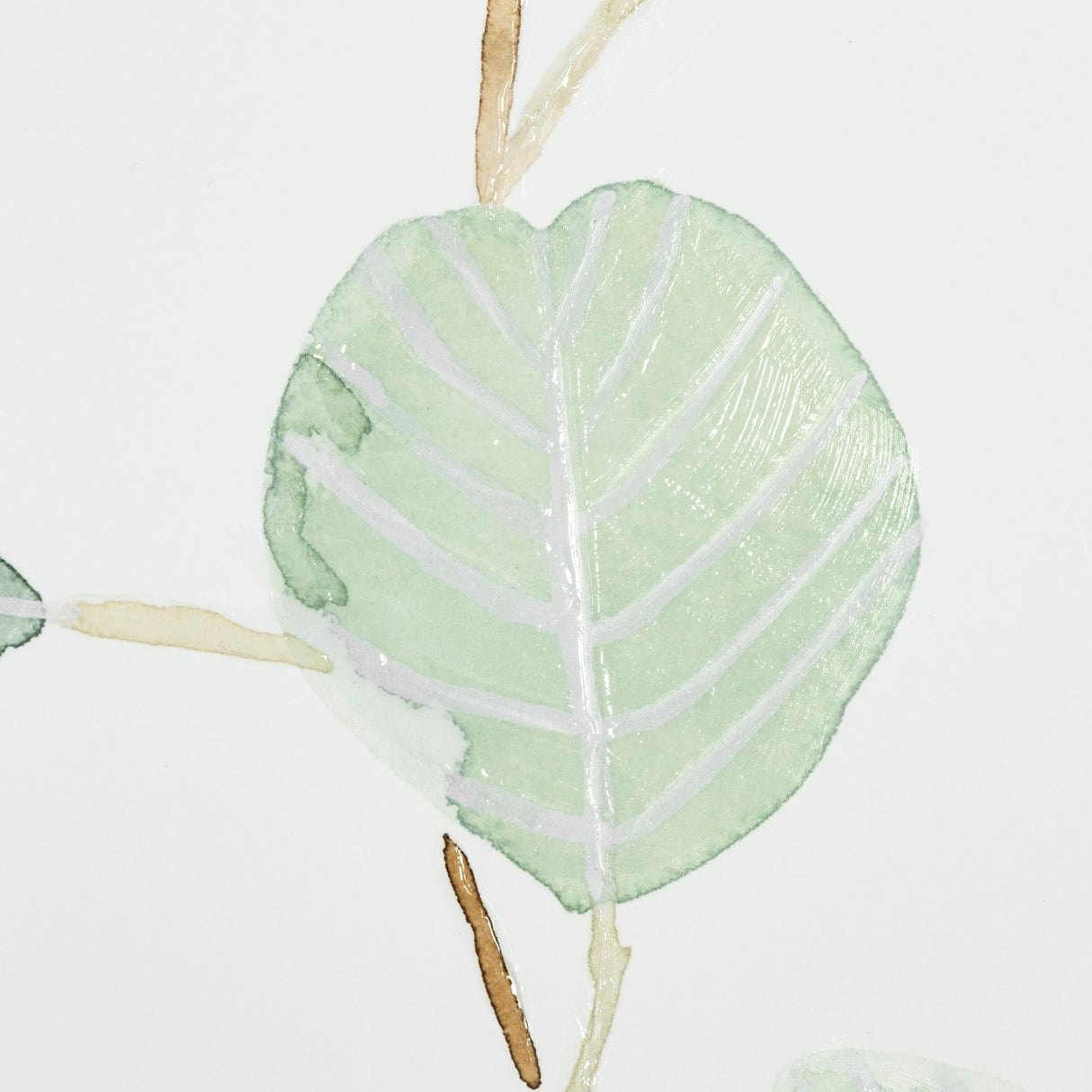 Soft Eucalyptus Branch III by Emma Scarvey Hand Embellished Framed Art Print Matted under Glass by Mercana at Eve Furniture