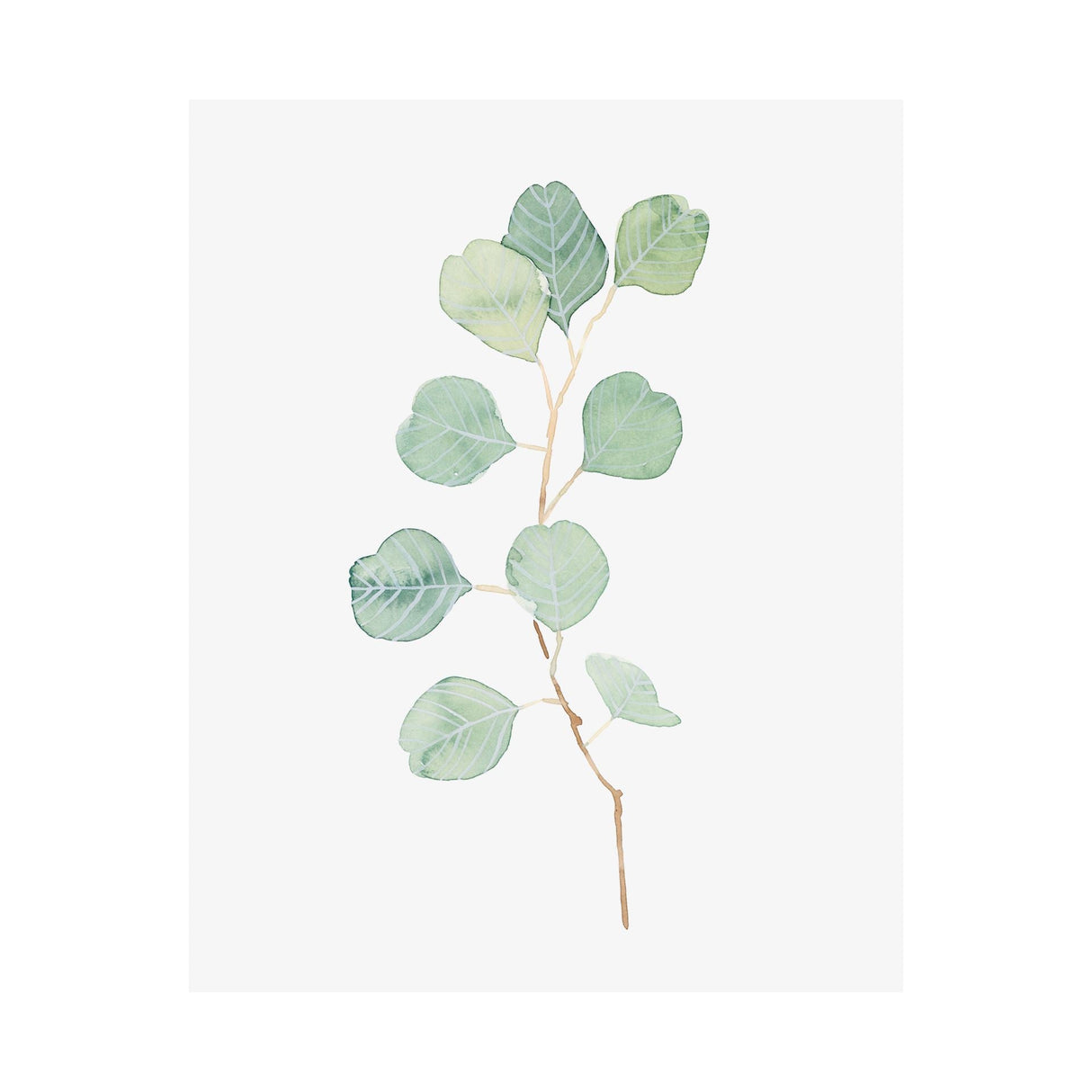 Soft Eucalyptus Branch IV by Emma Scarvey a Hand Embellished Textured Canvas by Mercana at Eve Furniture