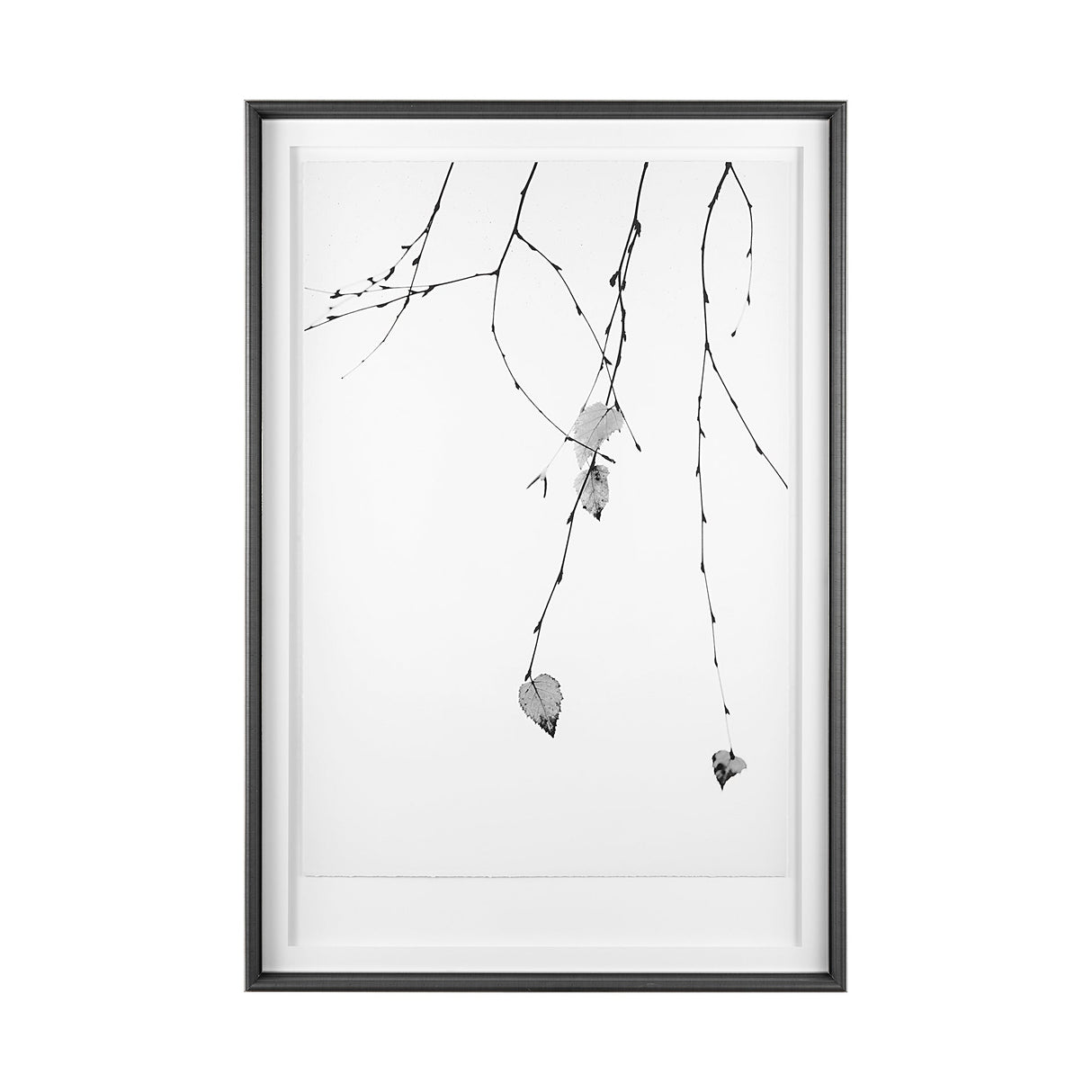 Solo by Rebecca Cozart a Hand Embellished Textured Framed Art Print Matted under Glass by Mercana at Eve Furniture