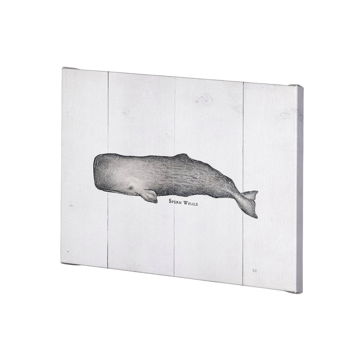 Sperm Whale by Mercana Studio a Hand Embellished Textured Canvas by Mercana at Eve Furniture