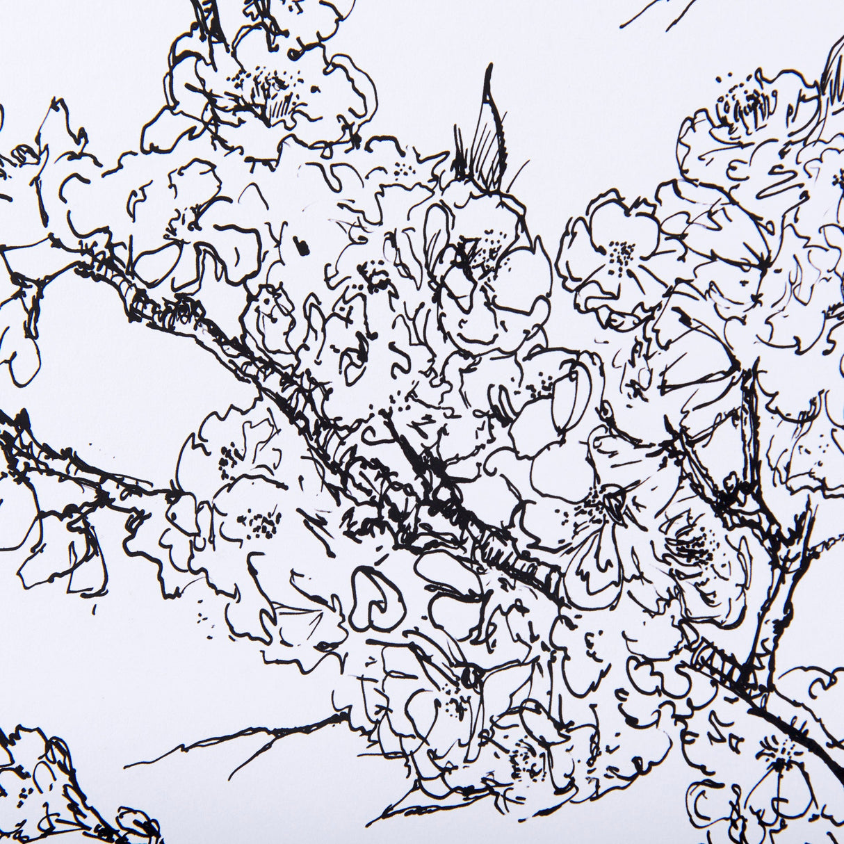 Spring Blooming V by Mercana Studio a Hand Embellished Textured Framed Art Print Matted under Glass by Mercana at Eve Furniture