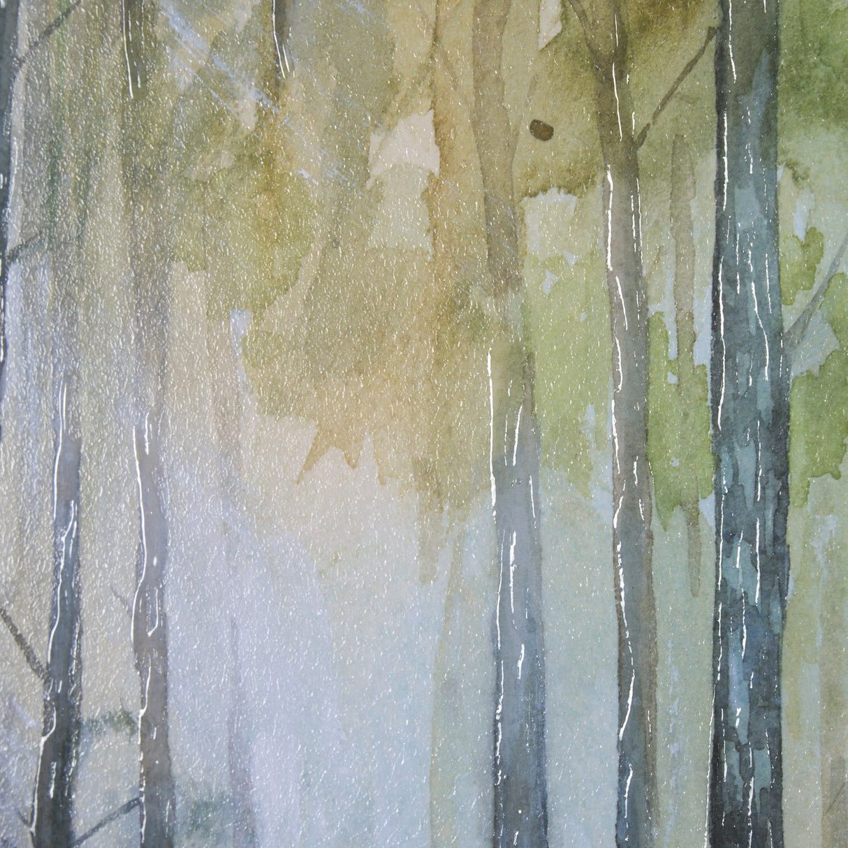 Spring Light II by Mercana Studio a Hand Embelished Textured Framed Art Print Matted under Glass by Mercana at Eve Furniture