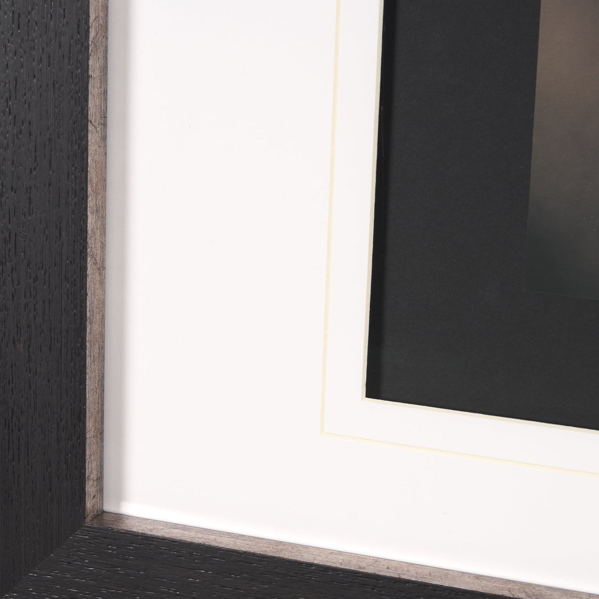 Stare Down by Chad Mackay a Hand Embelished Textured Framed Photo Art Print Matted under Glass by Mercana at Eve Furniture