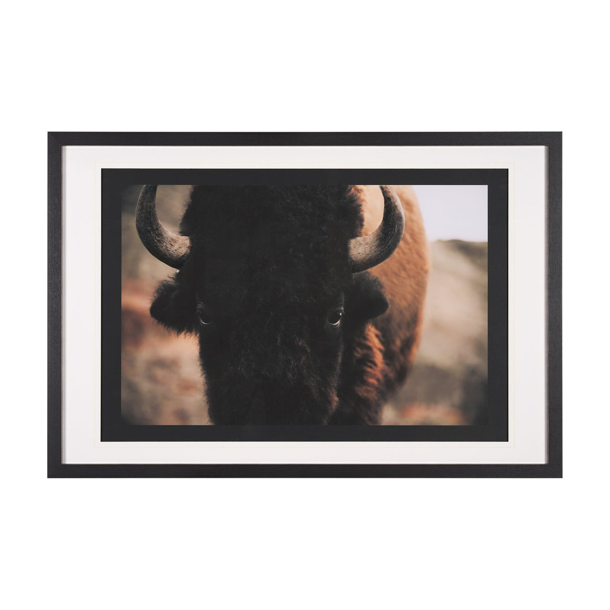 Stare Down by Chad Mackay a Hand Embelished Textured Framed Photo Art Print Matted under Glass by Mercana at Eve Furniture
