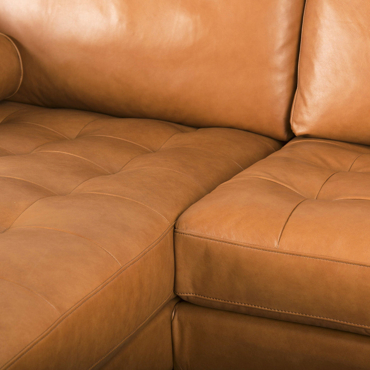 Svend Tan Leather Left Chaise Sectional Sofa by Mercana at Eve Furniture
