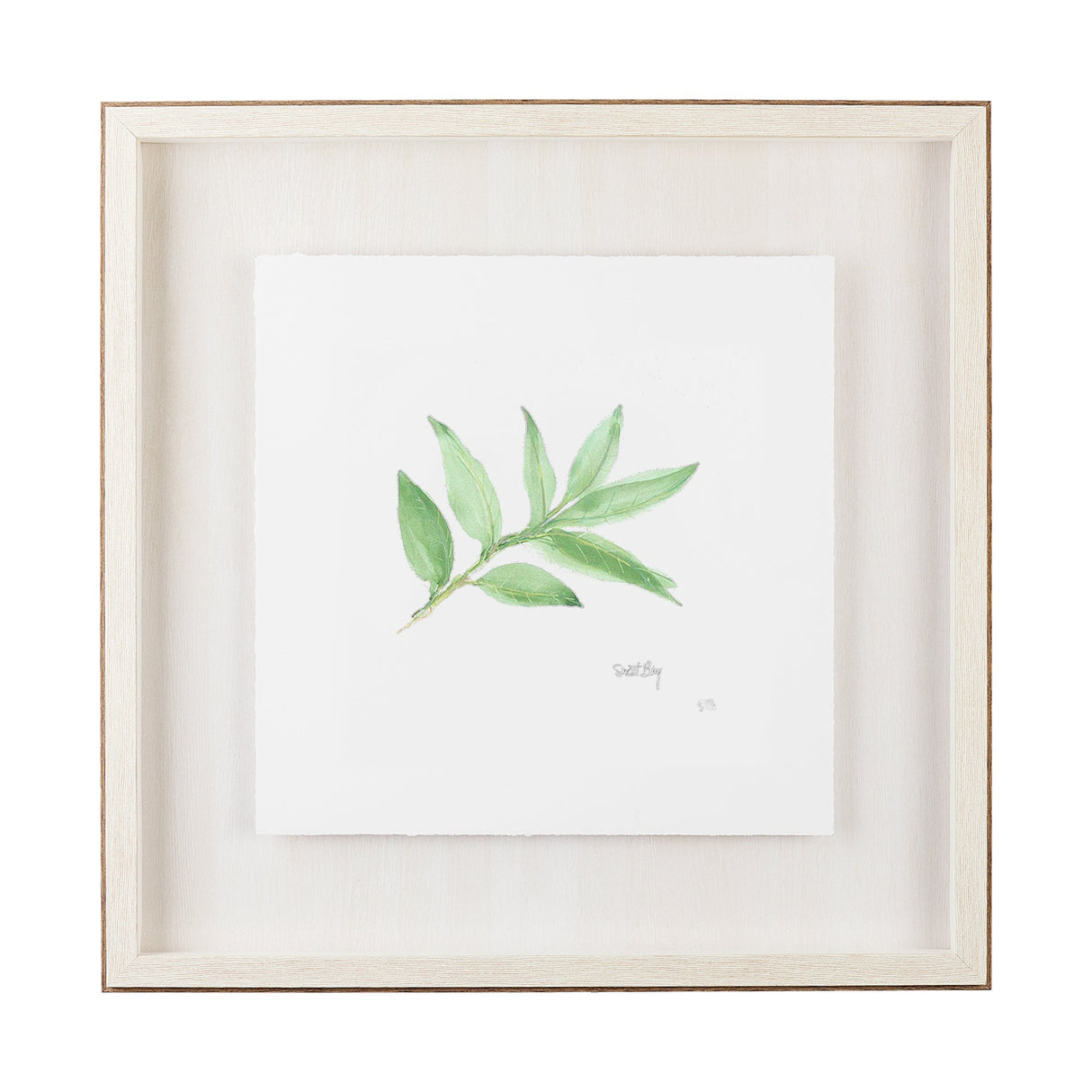 Sweet Bay v2 by Chris Paschke a Framed Art Print Matted under Glass by Mercana at Eve Furniture