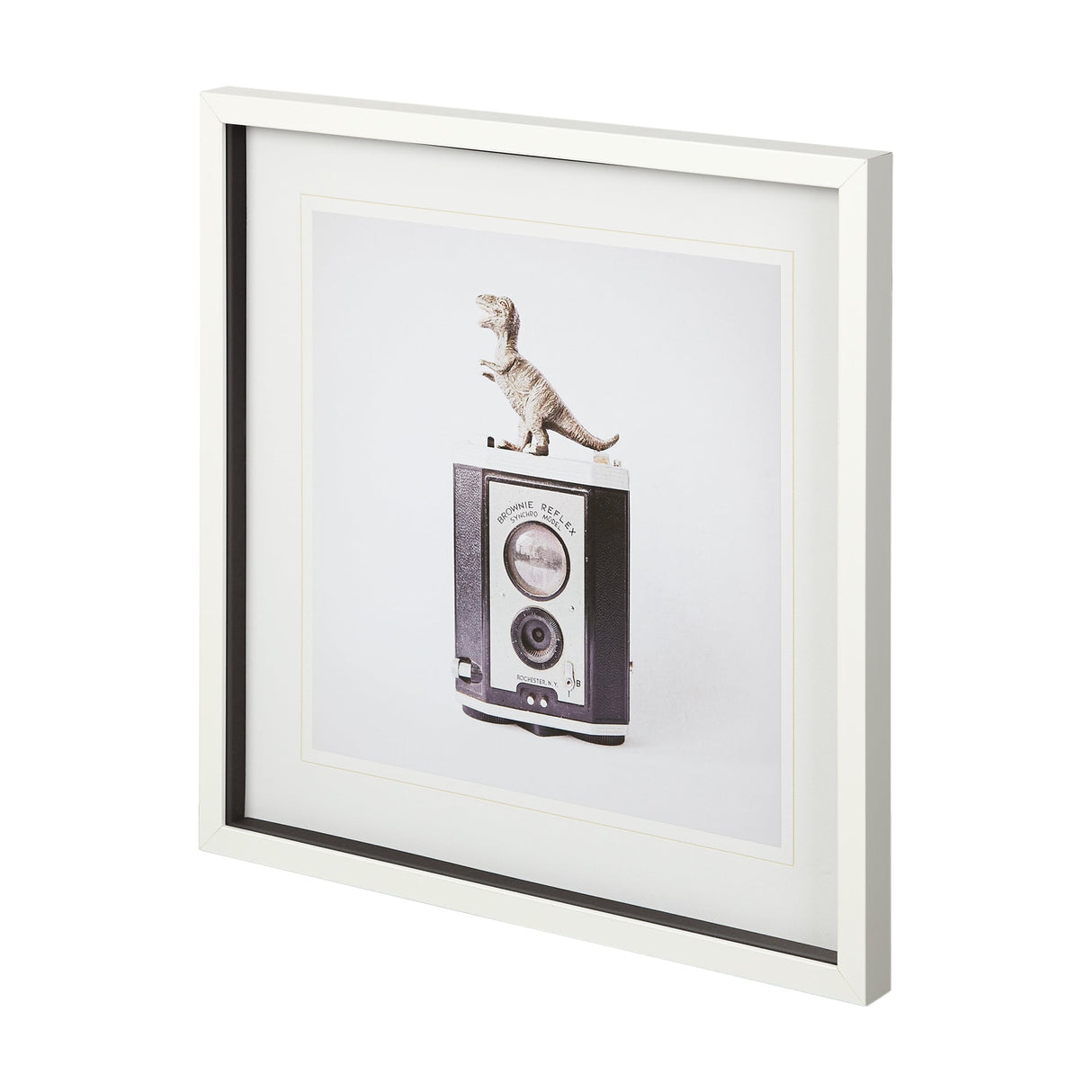 T-rex & Vintage Camera by Susannah Tucker Photography a Framed Photo Art Print Matted under Glass by Mercana at Eve Furniture