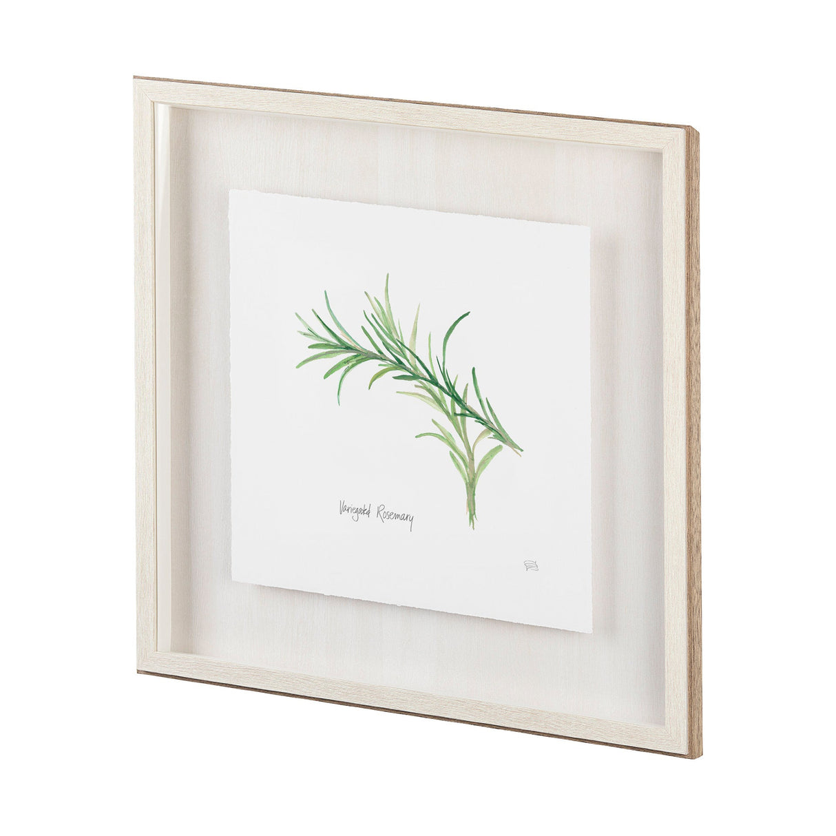 Tarragon v2 by Chris Paschke a Framed Art Print Matted under Glass by Mercana at Eve Furniture