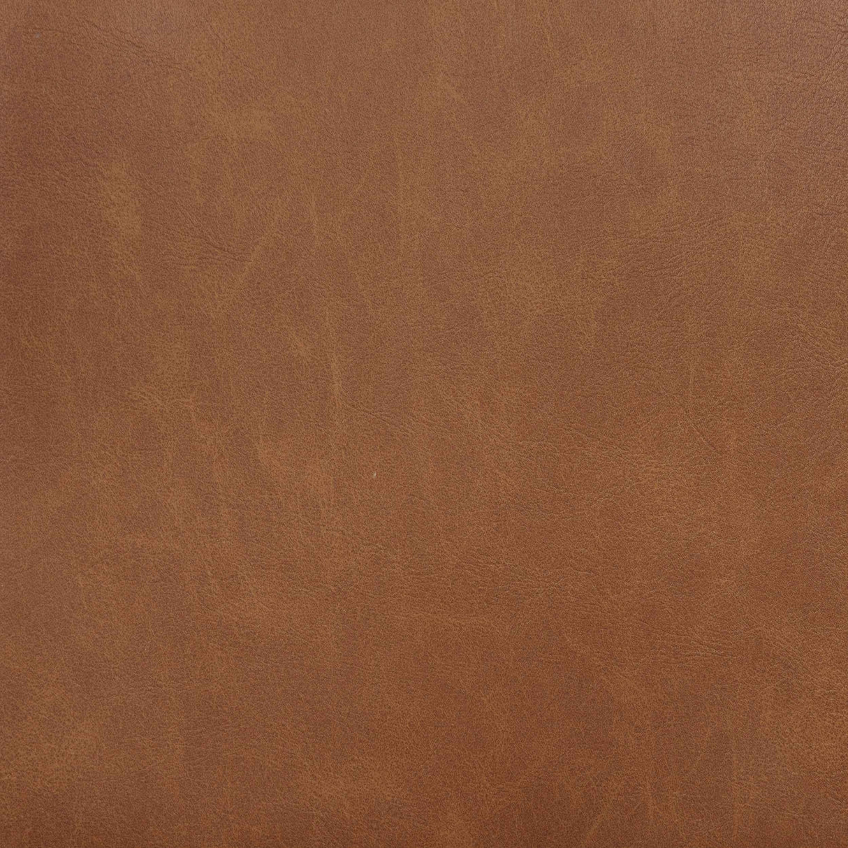 Tegan Cognac Faux Leather Upholstered Dining Side Chair (Set of 2) by Coaster at Eve Furniture