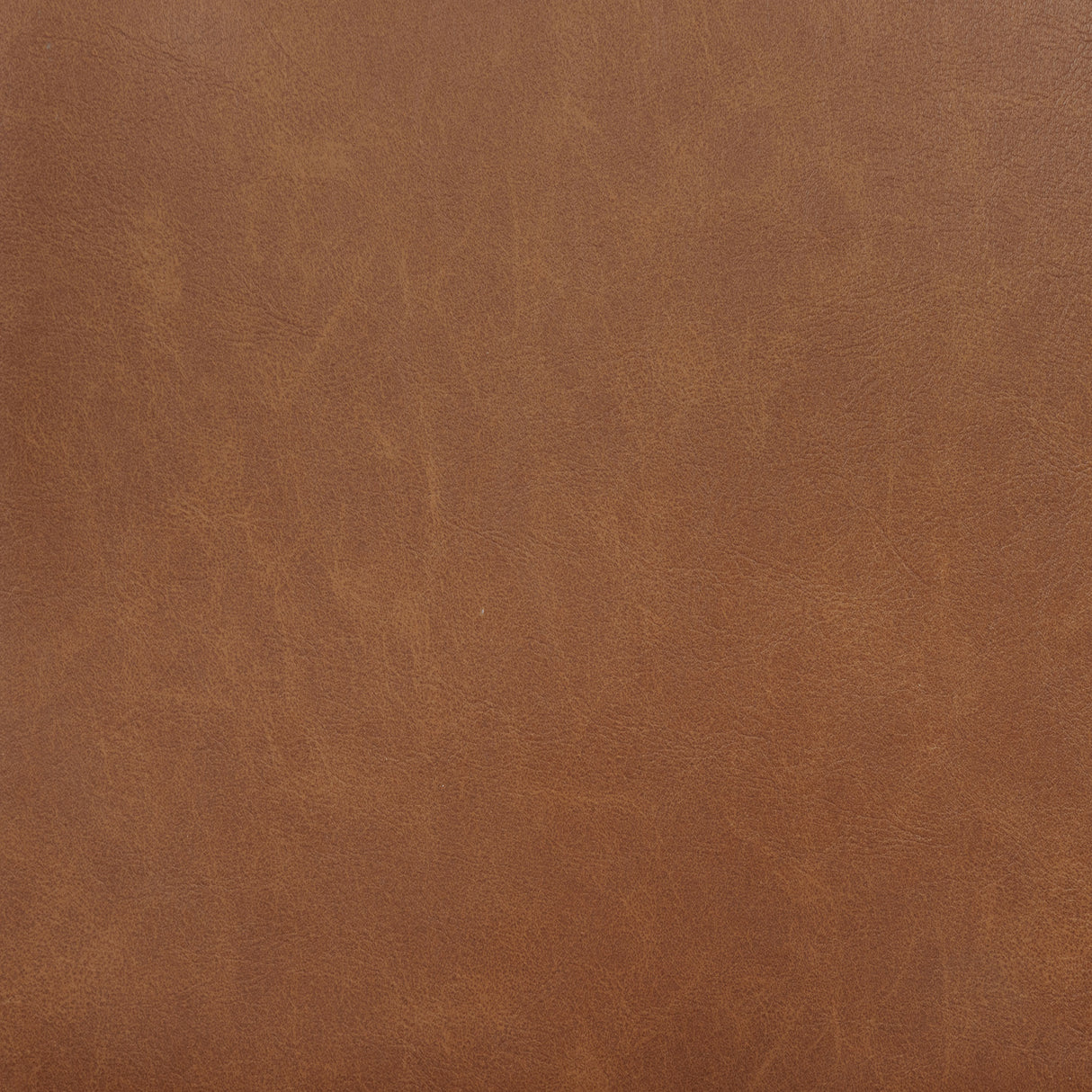 Tegan Faux Leather Upholstered Counter Height Chair Cognac (Set of 2) by Coaster at Eve Furniture