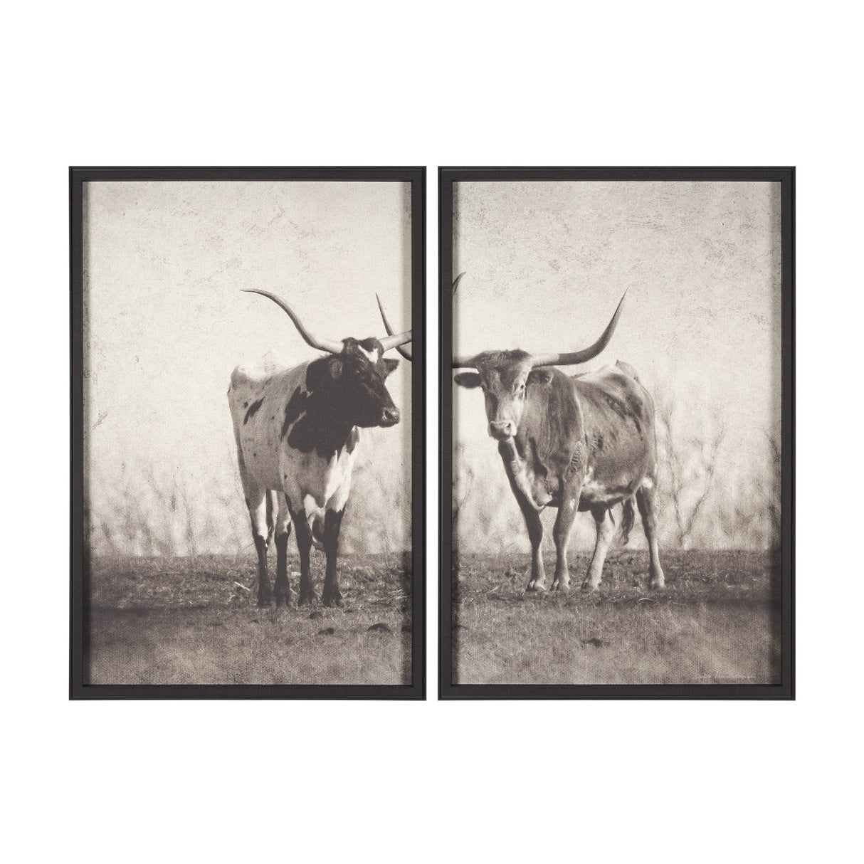 Texas Longhorns (Set of 2) by Debra Van Swearingen a Hand Embellished Framed Art Photograph Print by Mercana at Eve Furniture