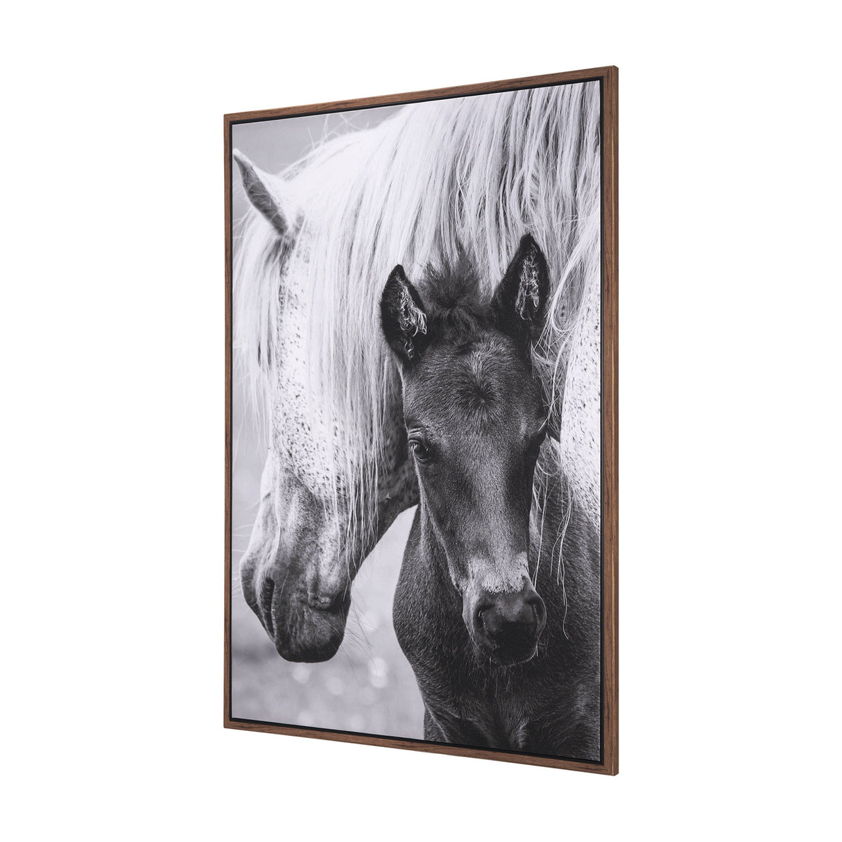 The Foal by Mercana Studio a Hand Embellished Textured Framed Canvas by Mercana at Eve Furniture