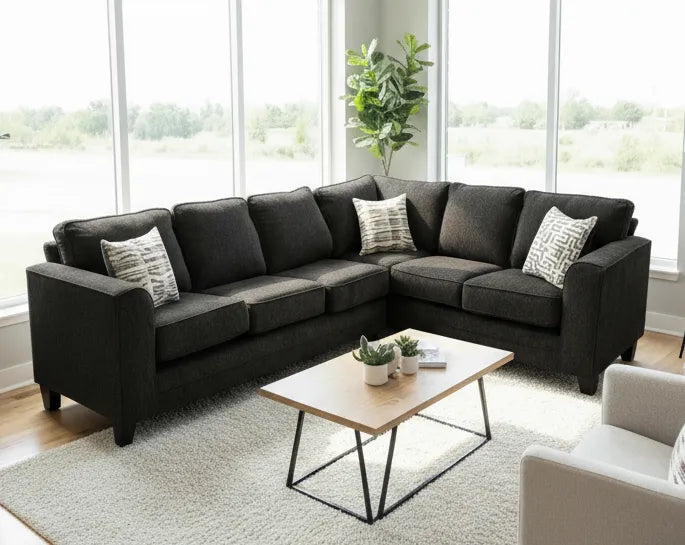 Thea Black 2-Piece Sectional by New Era Innovations at Eve Furniture