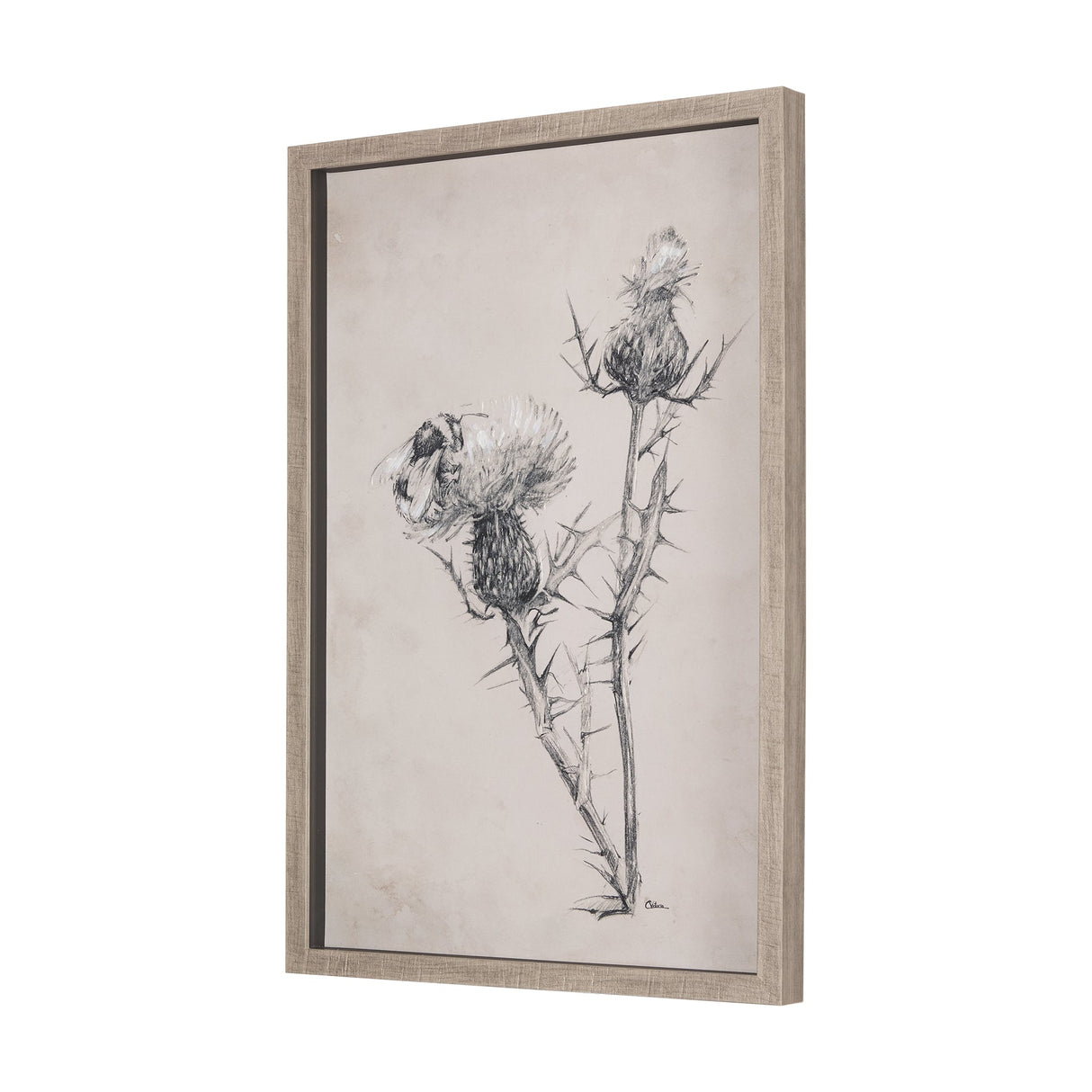 Thistle With Bumblebee Drawing IV Mercana Studio Hand Embellished Framed Art Print Matted under Glas by Mercana at Eve Furniture