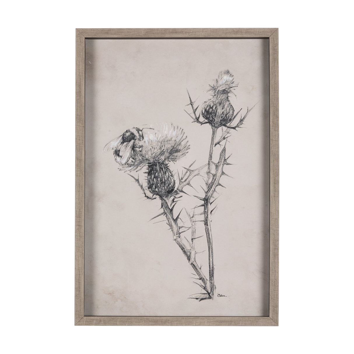 Thistle With Bumblebee Drawing IV Mercana Studio Hand Embellished Framed Art Print Matted under Glas by Mercana at Eve Furniture