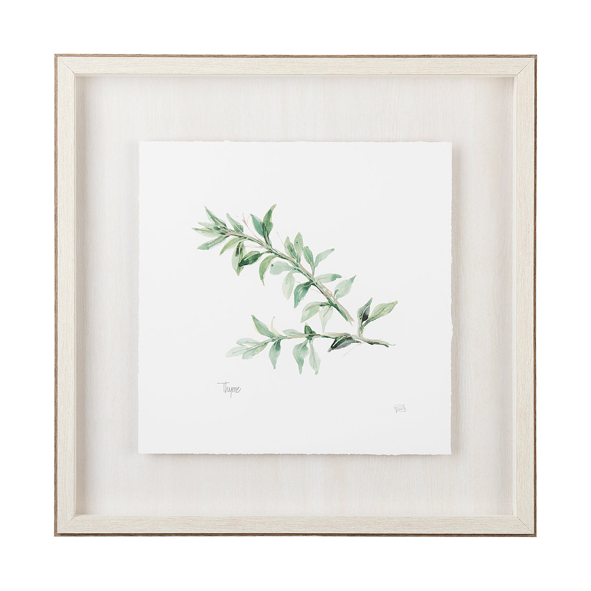Thyme v2 by Chris Paschke a Framed Art Print Matted under Glass by Mercana at Eve Furniture
