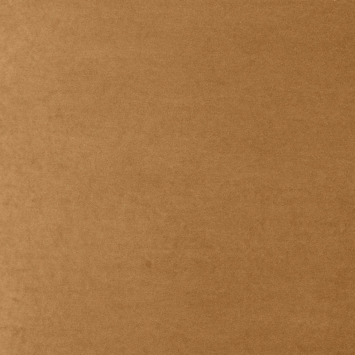 Tiara Performance Velvet and Oak Dining Chair by TOV Furniture at Eve Furniture