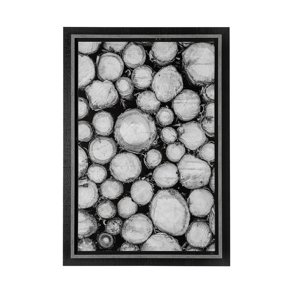 Timber Focus by Assaf Frank a Framed Photo Art Print Matted under Glass by Mercana at Eve Furniture