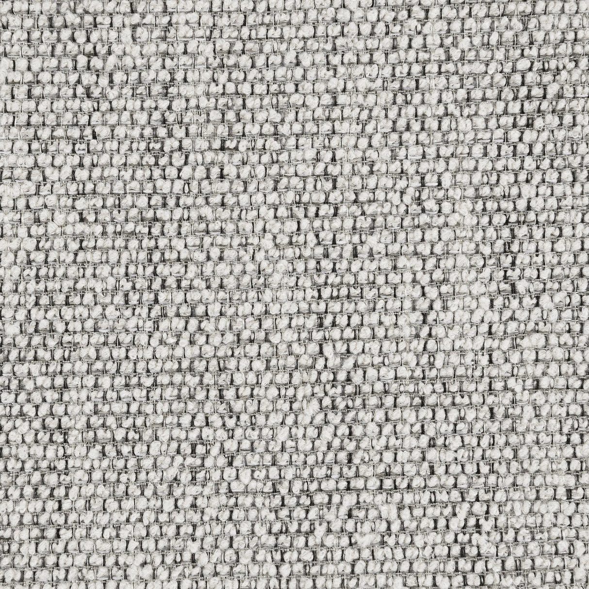 Tomkins Light Gray Boucle Upholstered Loveseat by Coaster at Eve Furniture