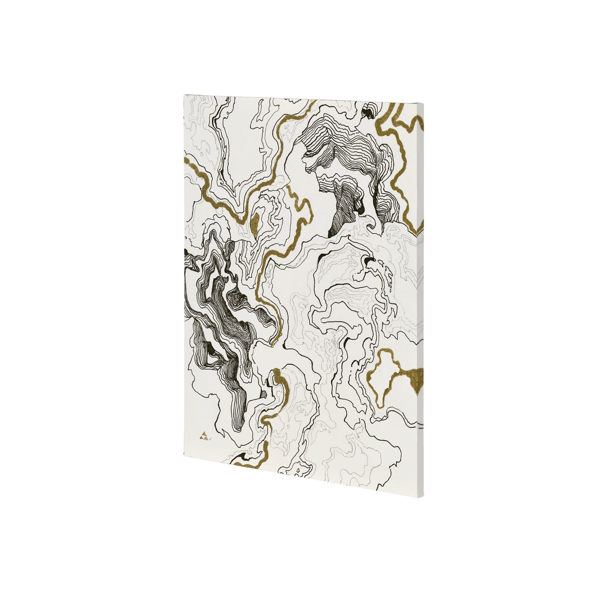 Topography II by Mercana Studio a Hand Embellished Textured Canvas by Mercana at Eve Furniture