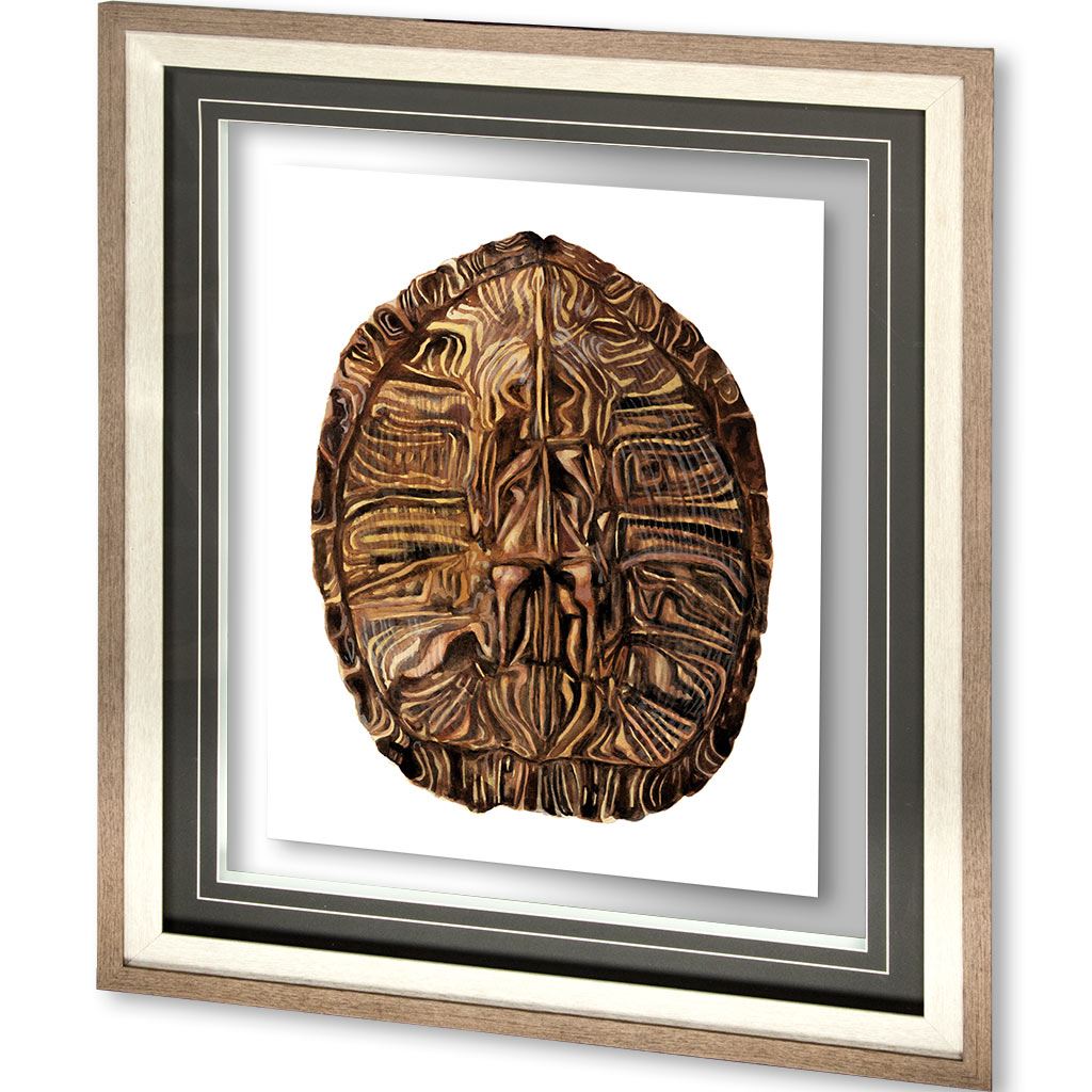 Tortoise Shell Detail II by Naomi McCavitt a Framed Art Print Matted under Glass by Mercana at Eve Furniture