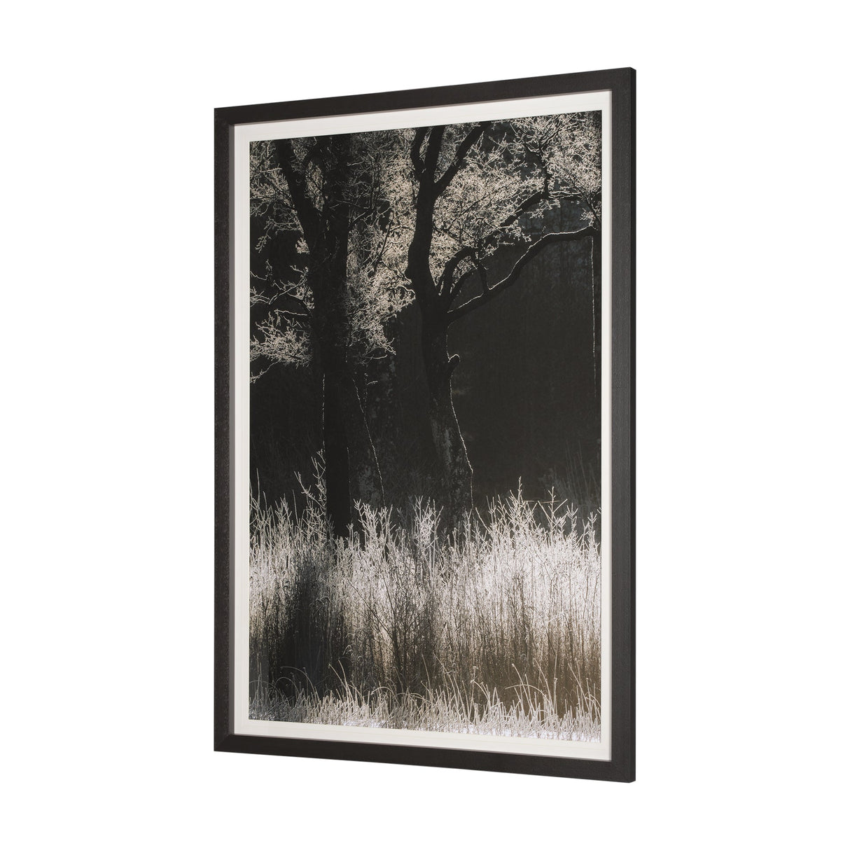Tranquil Symmetry I by Mikael Svensson a Framed Photo Art Print Matted under Glass by Mercana at Eve Furniture