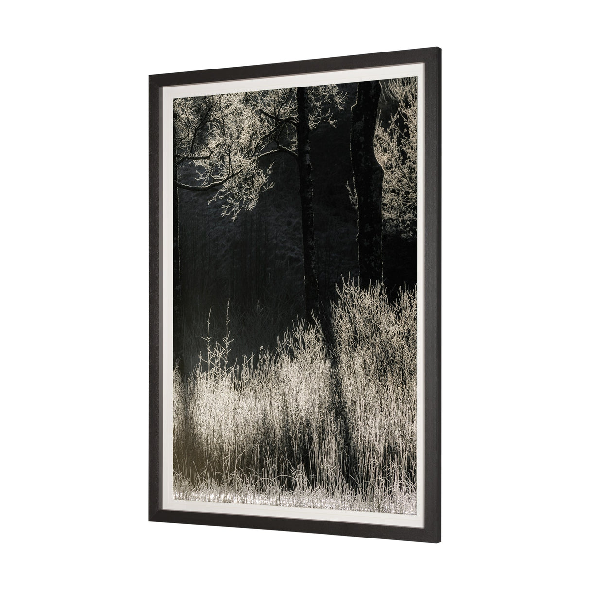 Tranquil Symmetry II by Mikael Svensson a Framed Photo Art Print Matted under Glass by Mercana at Eve Furniture