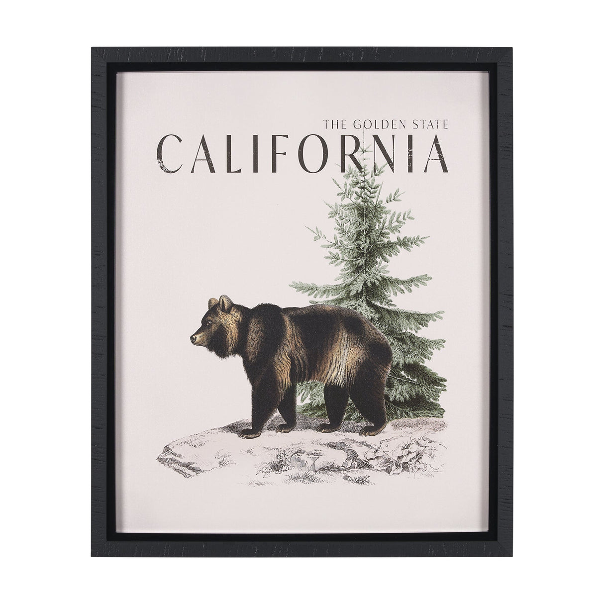 Travel Guide - California by Vintage Collection a Hand Embellished Textured Framed Art Print by Mercana at Eve Furniture