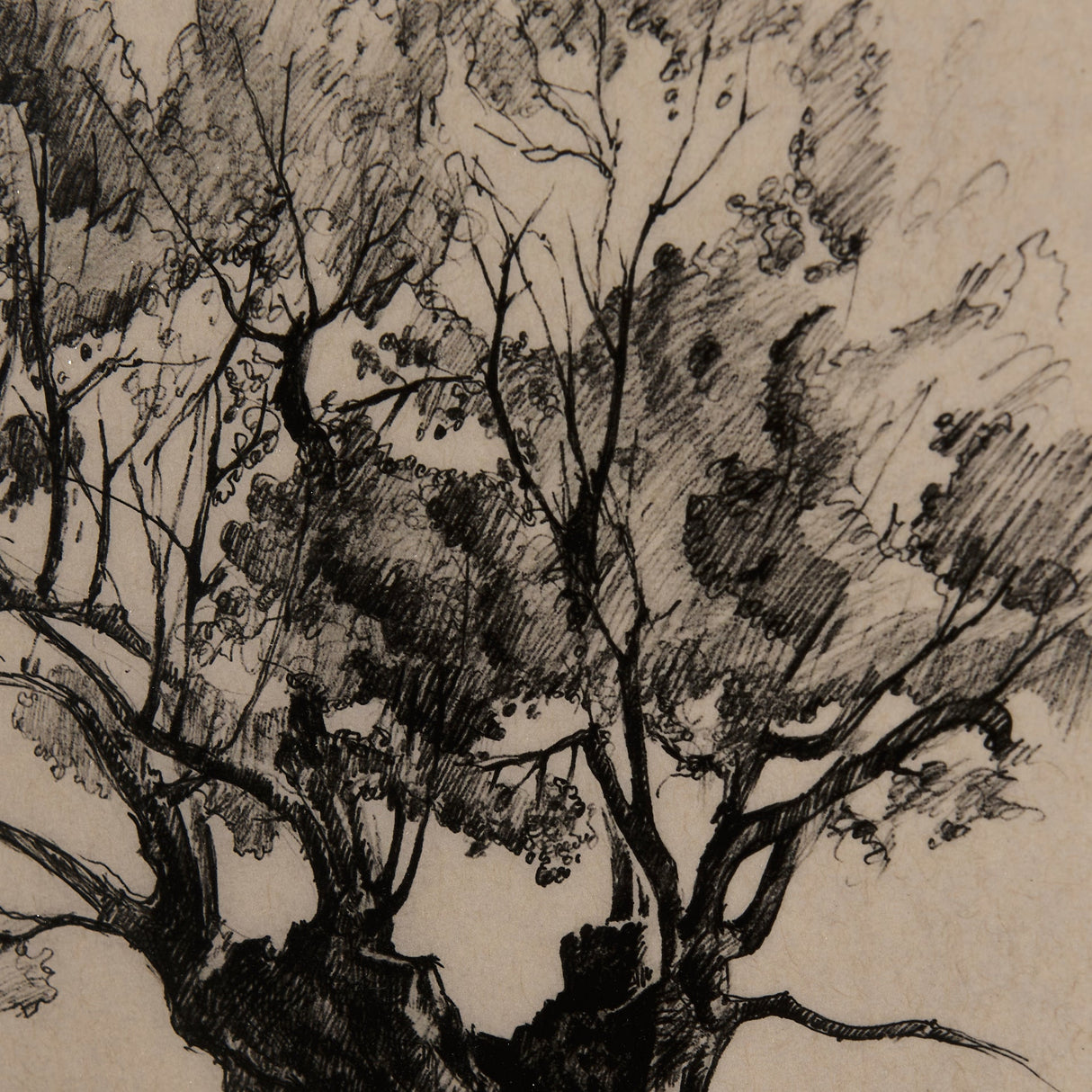 Tree Drawing I by Mercana Studio a Hand Embellished Textured Framed Art Print Matted under Glass by Mercana at Eve Furniture
