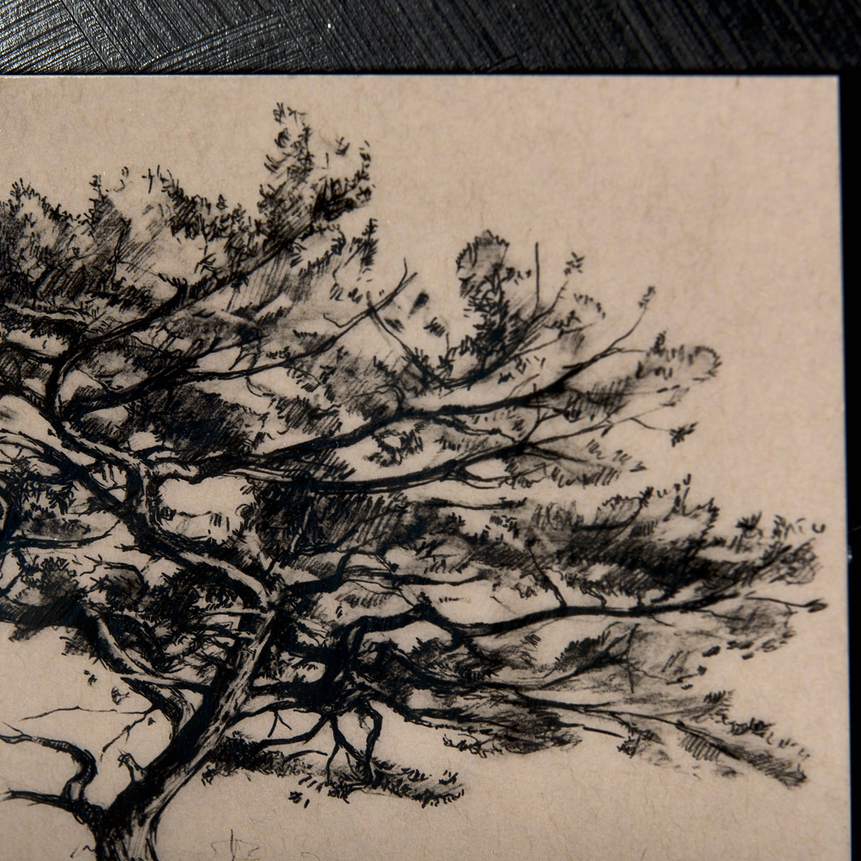 Tree Drawing III by Mercana Studio a Hand Embellished Textured Framed Art Print Matted under Glass by Mercana at Eve Furniture