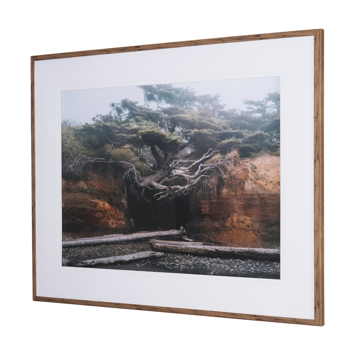 Tree of Life by Stefan and Audrey Textured Framed Photo Print Matted under Glass by Mercana at Eve Furniture