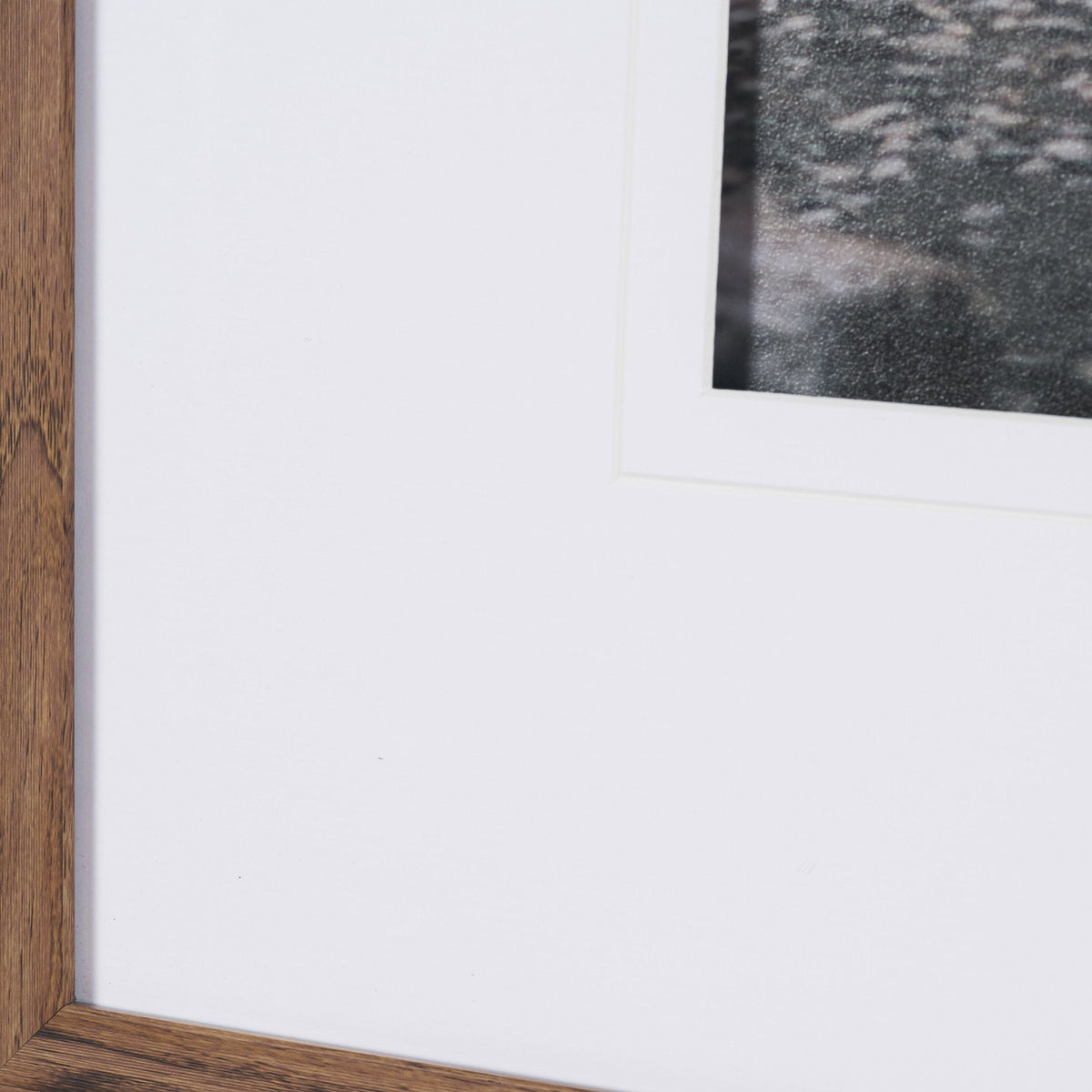 Tree of Life by Stefan and Audrey Textured Framed Photo Print Matted under Glass by Mercana at Eve Furniture