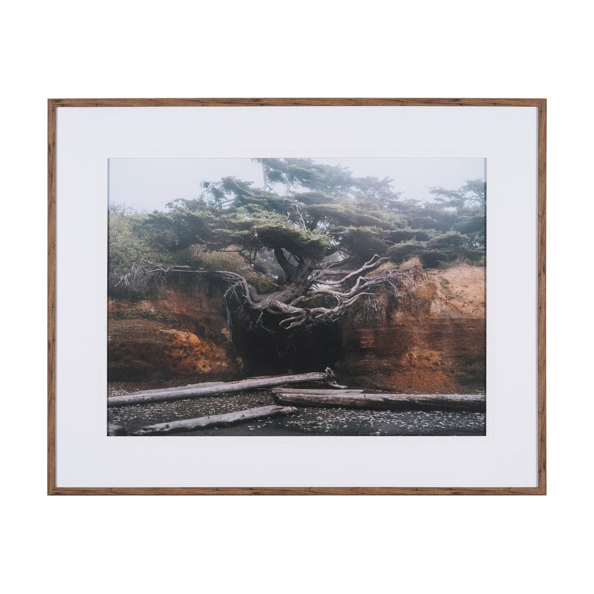 Tree of Life by Stefan and Audrey Textured Framed Photo Print Matted under Glass by Mercana at Eve Furniture