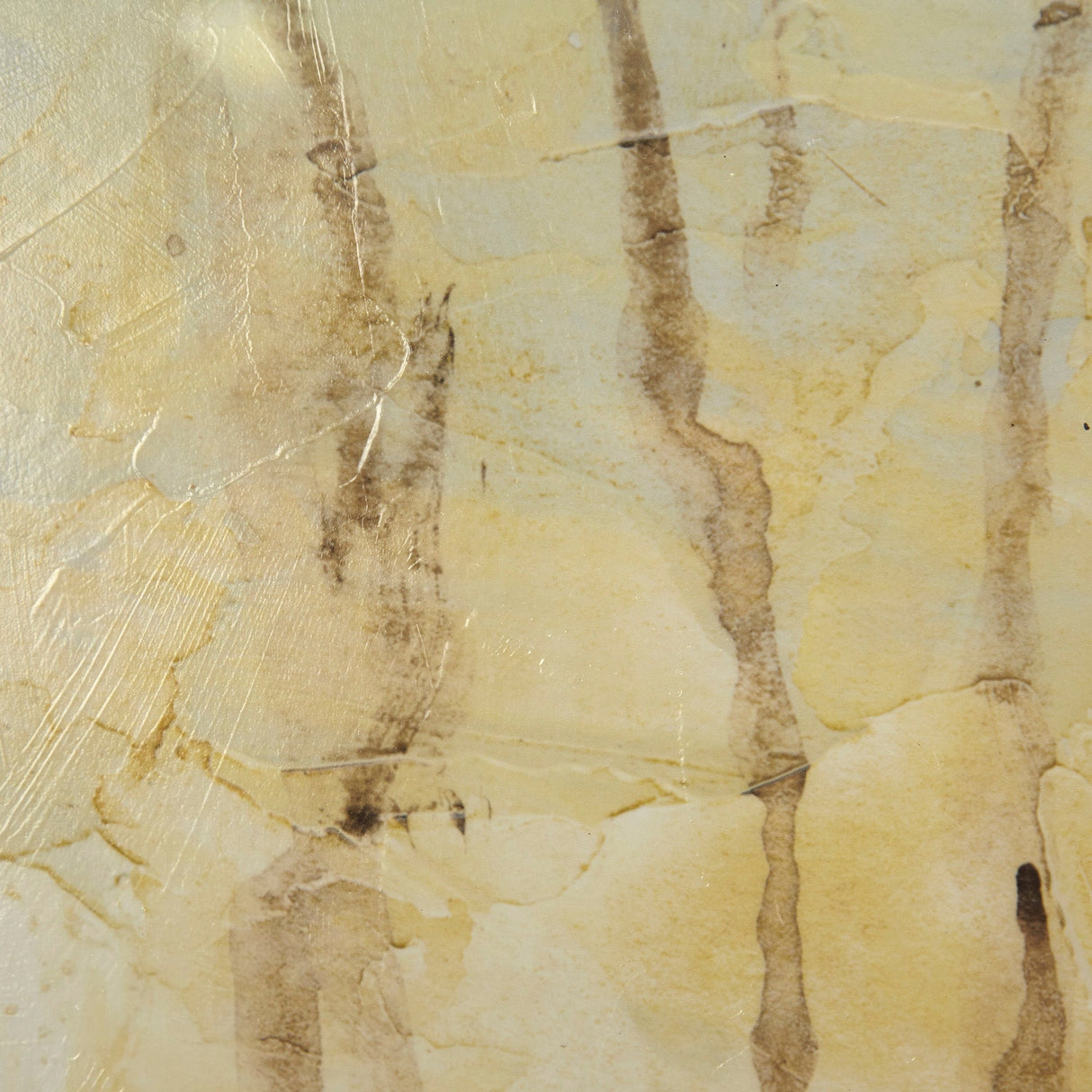 Treeline Light I by Jennifer Goldberger Hand Embellished Textured Framed Art Print Matted under Glas by Mercana at Eve Furniture