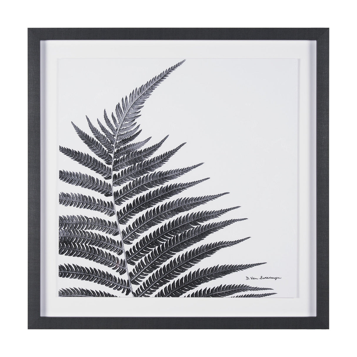 Truth by Debra Van Swearingen a Hand Embellished Framed Photo Art Print Matted under Glass by Mercana at Eve Furniture