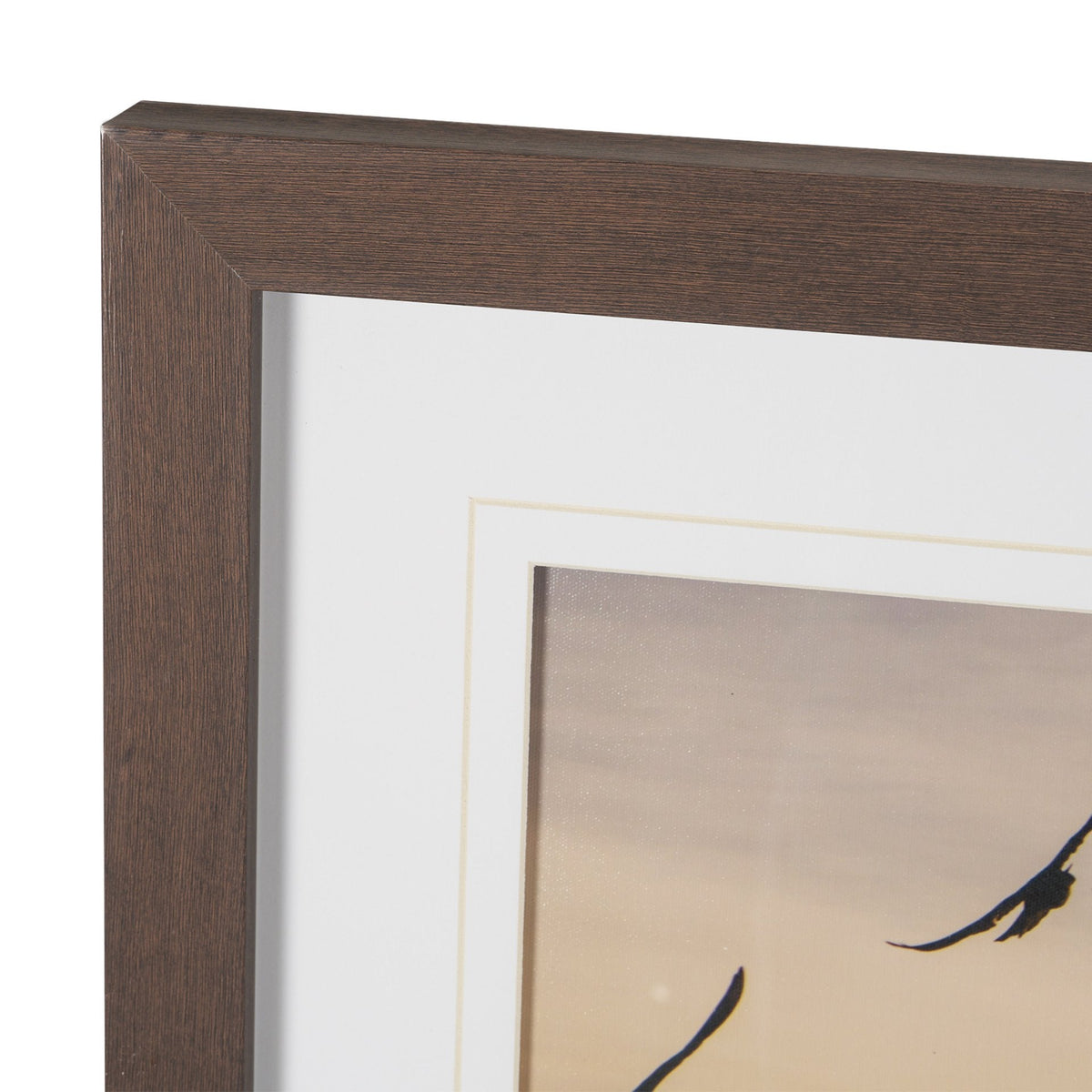 Tuscan View Sunset - Flight by Zaira Zarotti Framed Photo Print Matted under Glass by Mercana at Eve Furniture