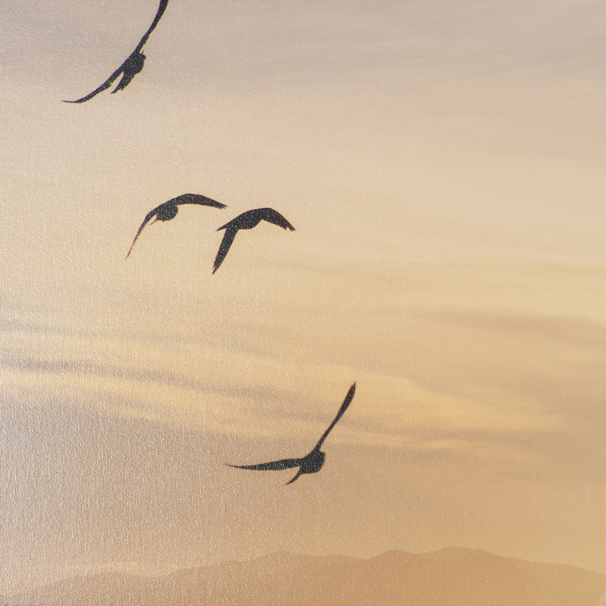 Tuscan View Sunset - Flight by Zaira Zarotti Framed Photo Print Matted under Glass by Mercana at Eve Furniture