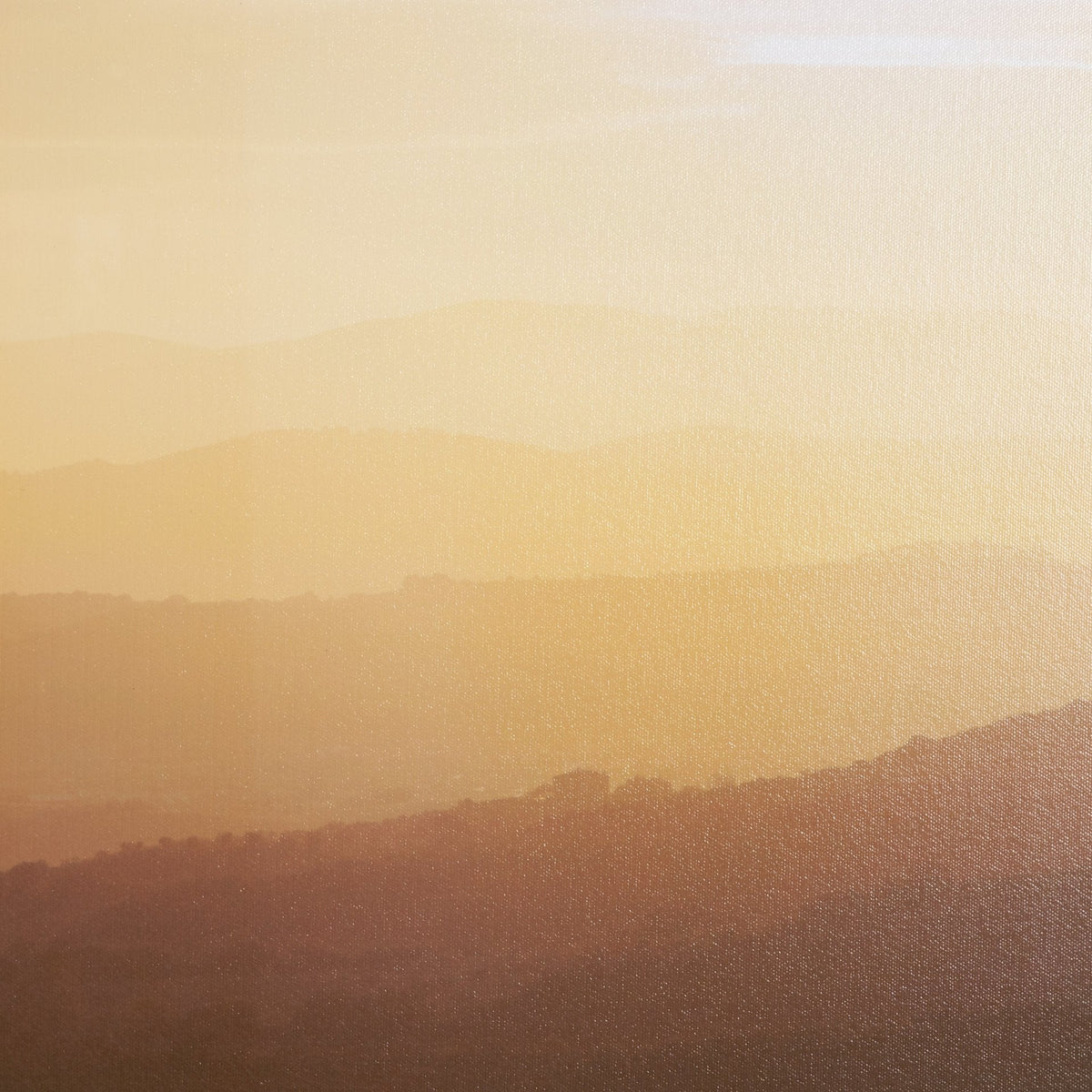 Tuscan View Sunset - Flight by Zaira Zarotti Framed Photo Print Matted under Glass by Mercana at Eve Furniture